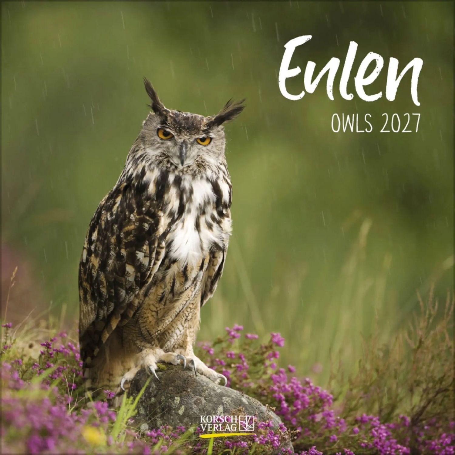 Korsch Verlag Wandkalender Eulen 2027