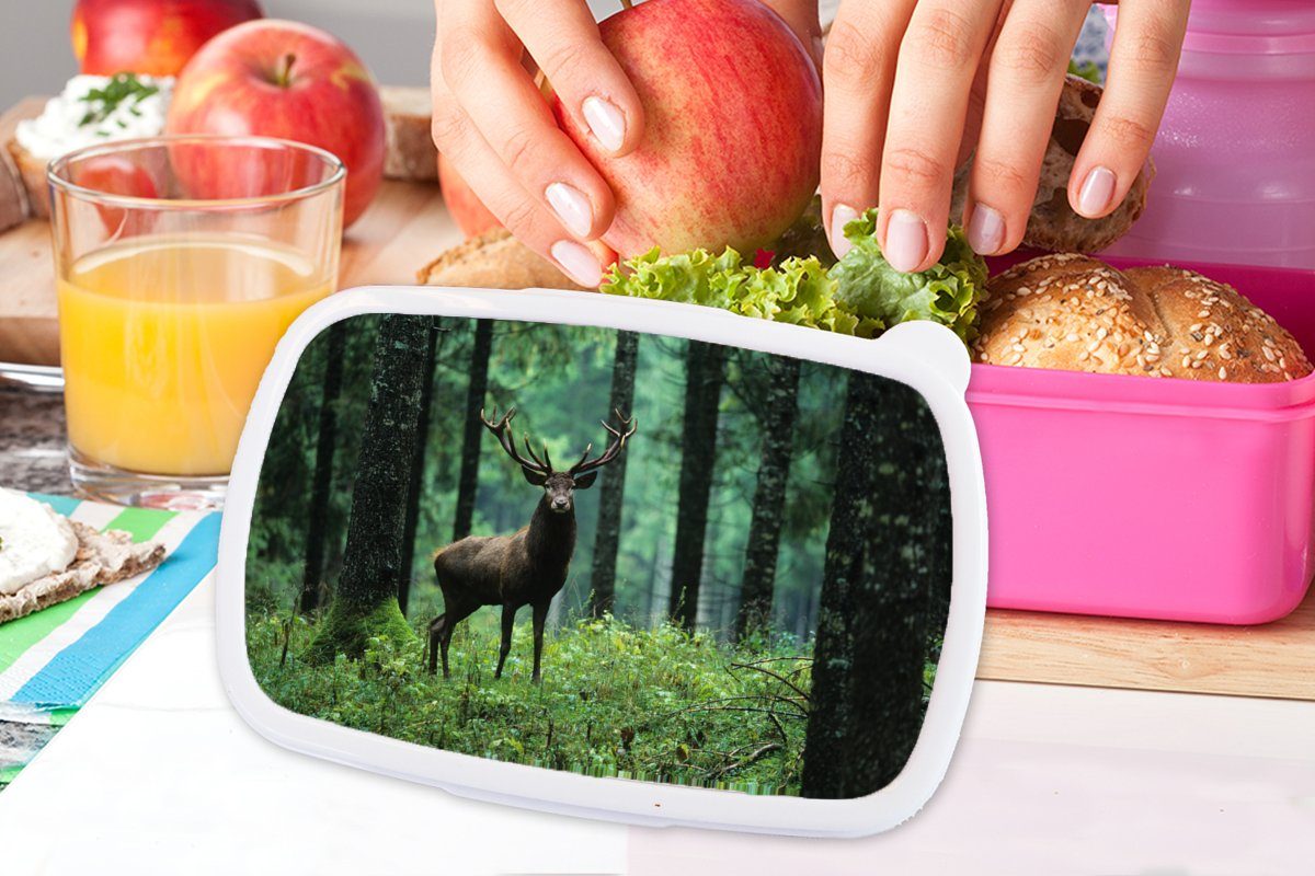 MuchoWow Lunchbox Hirsche - - Wald für Mädchen, (2-tlg), Tiere Erwachsene, - Natur, Snackbox, Bäume Brotbox Kinder, Kunststoff Brotdose rosa - Kunststoff