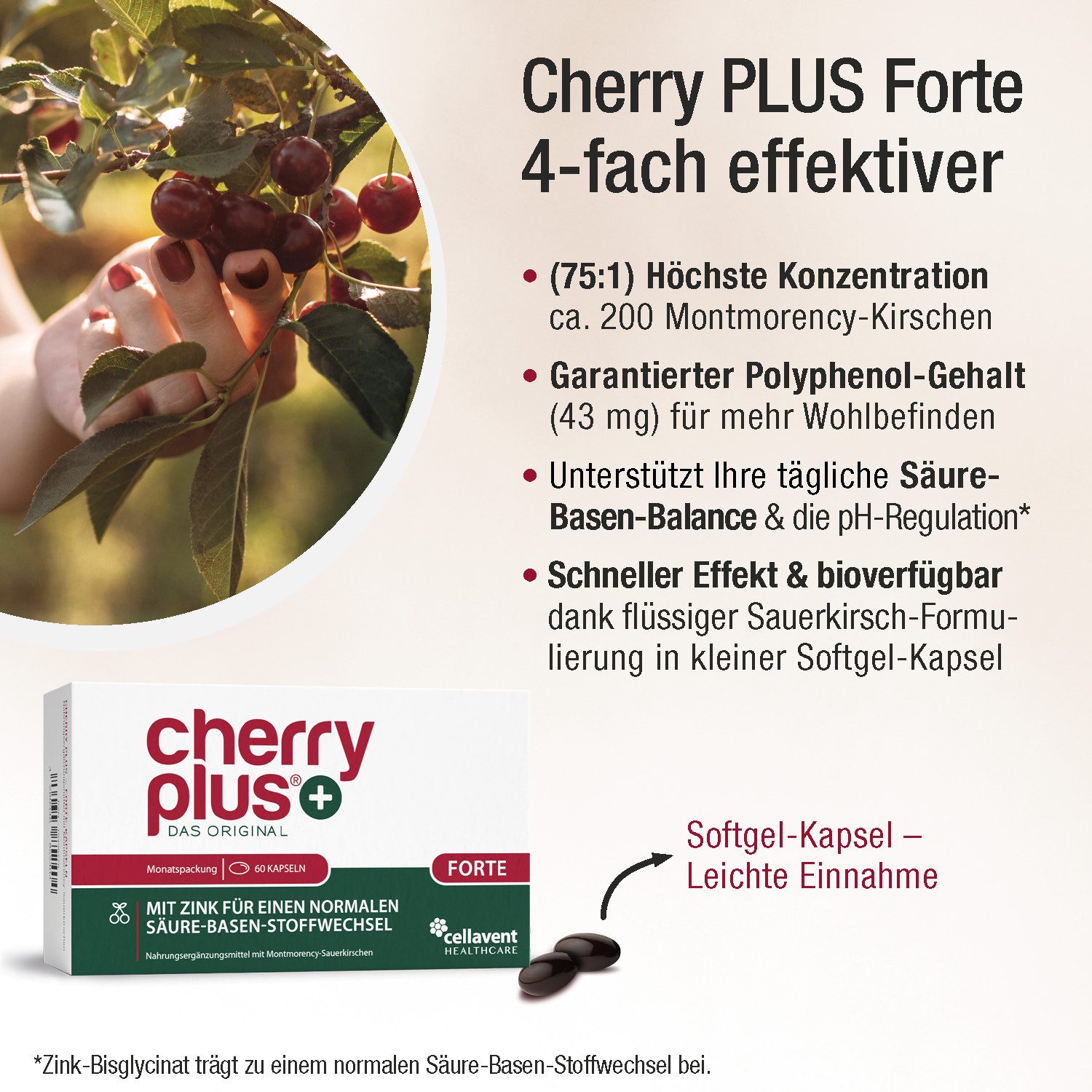 Cellavent Healthcare Stärkste Montmorency-Sauerkirsch-Kapseln - Cherry PLUS Forte Kapseln