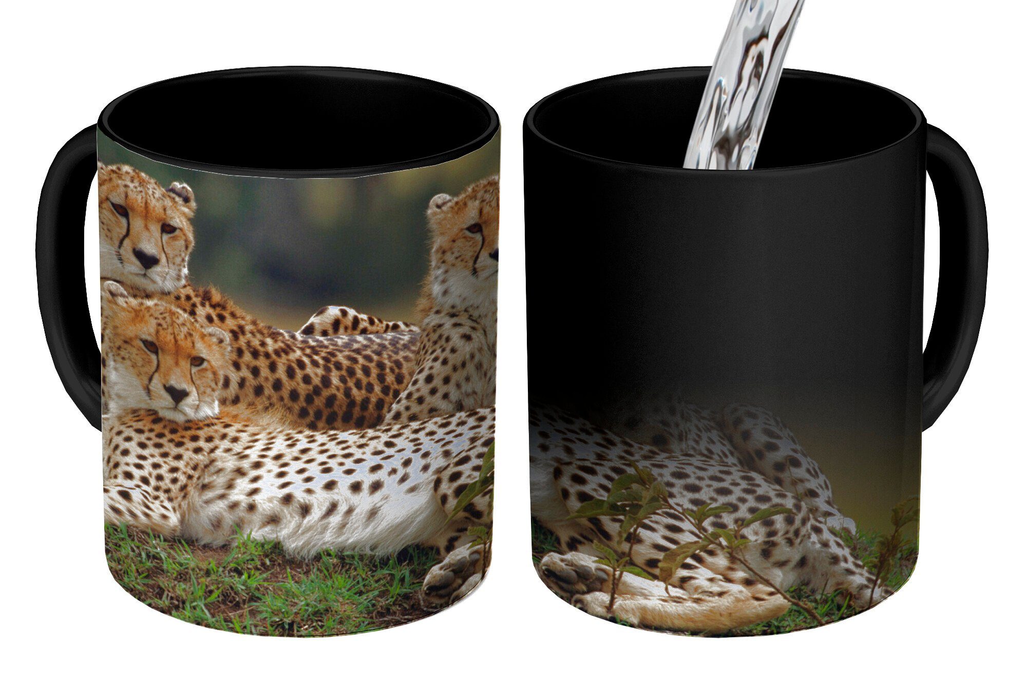 Keramik, Drei Teetasse, Kaffeetassen, MuchoWow Farbwechsel, Tasse Geschenk der Savanne, Zaubertasse, in Geparden