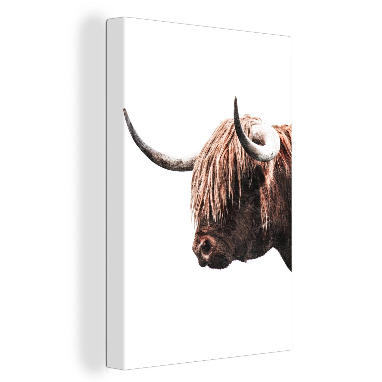 Highlander cm - inkl. bespannt Zackenaufhänger, (1 Gemälde, 20x30 fertig Leinwandbild Tiere Kühe, - Schottische St), Leinwandbild OneMillionCanvasses®