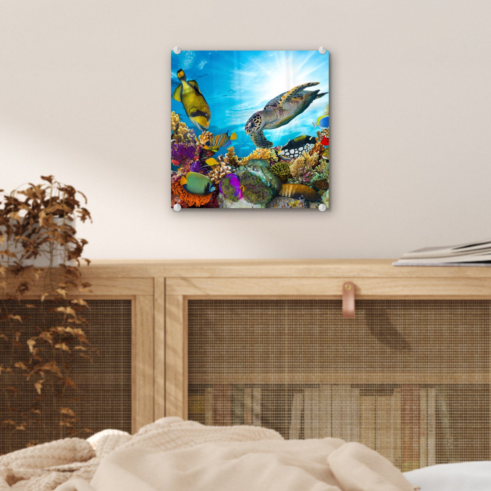 MuchoWow Acrylglasbild Schildkröte - Meer Glas Wanddekoration auf - Foto - Glasbilder auf - - Wandbild (1 Koralle, Glas Bilder St)