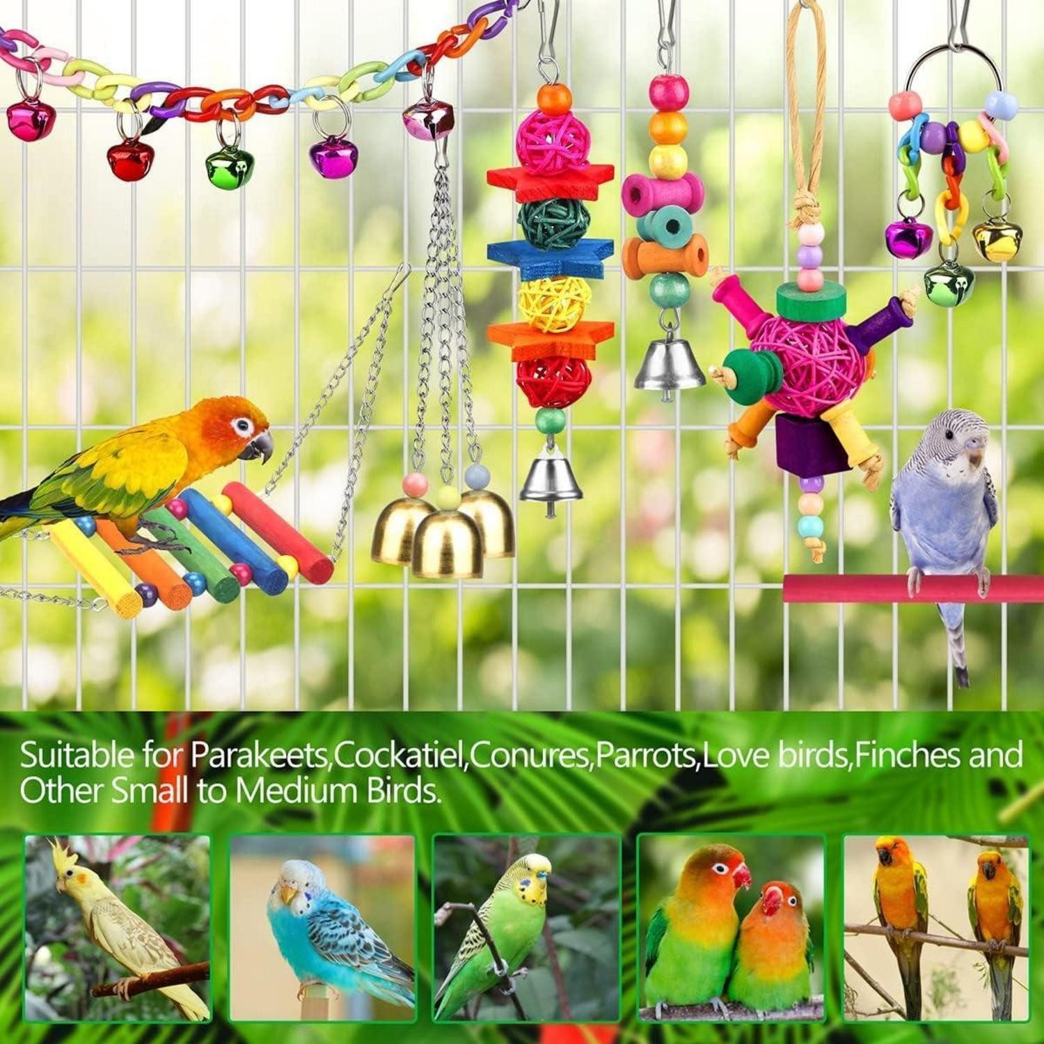 LuxusKollektion Vogelspielplatz Vogelspielzeug für Sittiche mit Leiter Hängematte Spielzeug Glocke