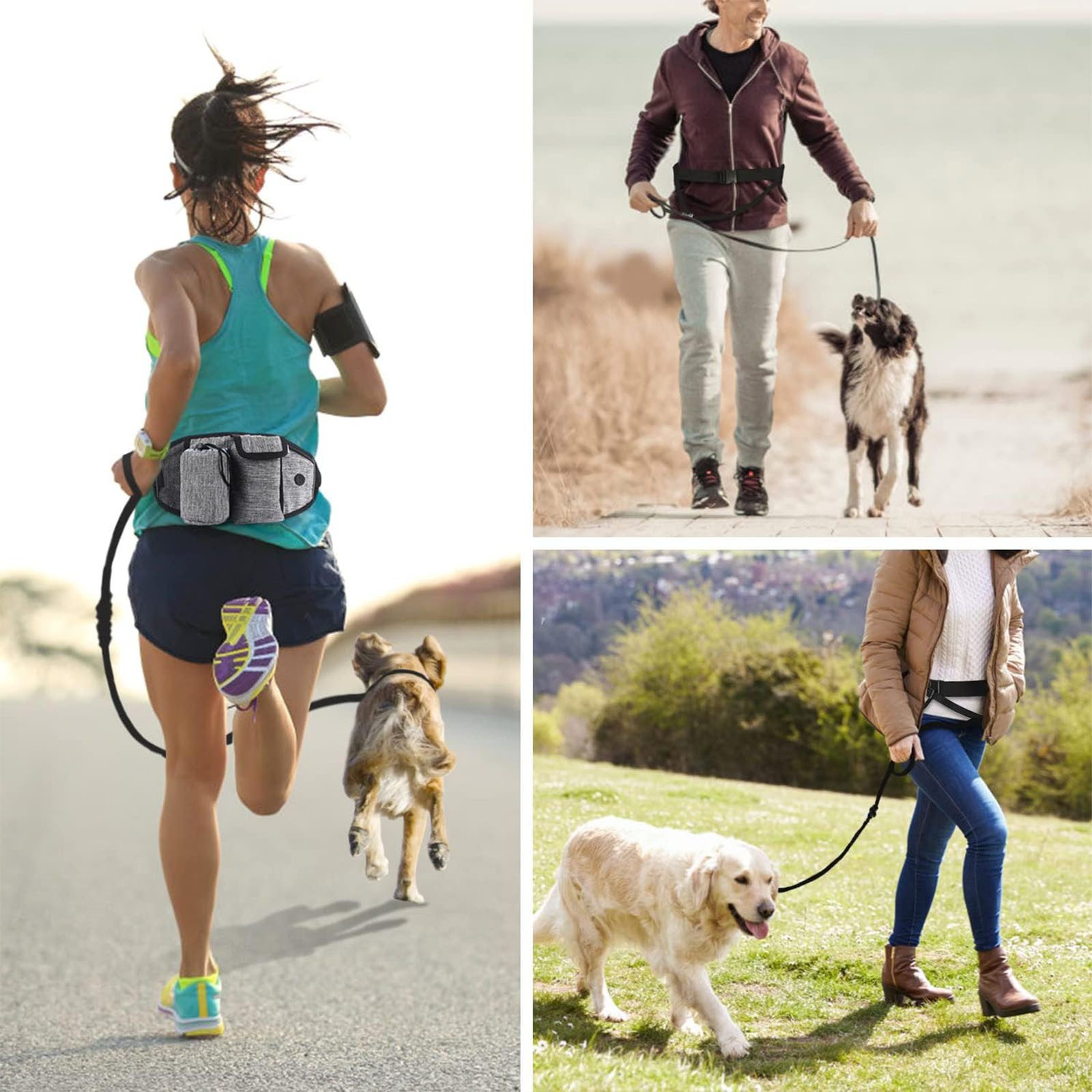 HAUSS SPOLE Hundeleine Hunde-Geschirr Joggingleine mit günstig online kaufen