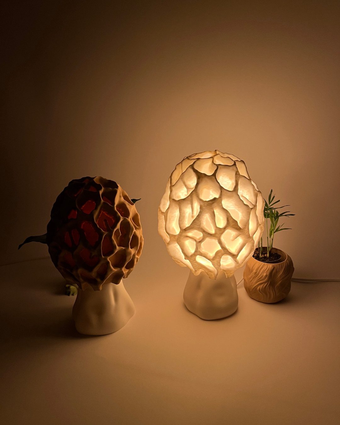 Roomberry LED Tischleuchte Morchel Pilz Leuchte für E27 Lampenfassung, sanf günstig online kaufen