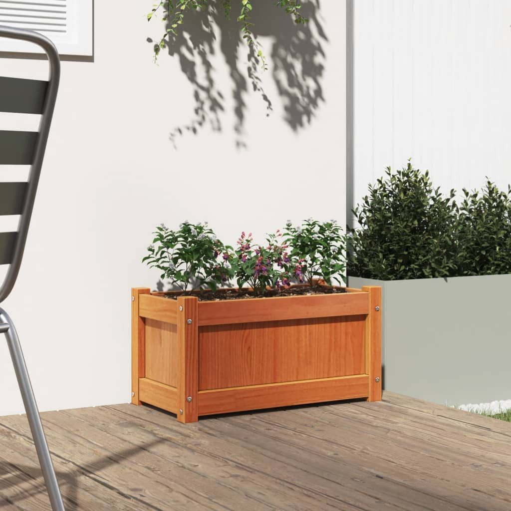 vidaXL Blumentopf Pflanzkübel Wachsbraun 60x31x31 cm günstig online kaufen