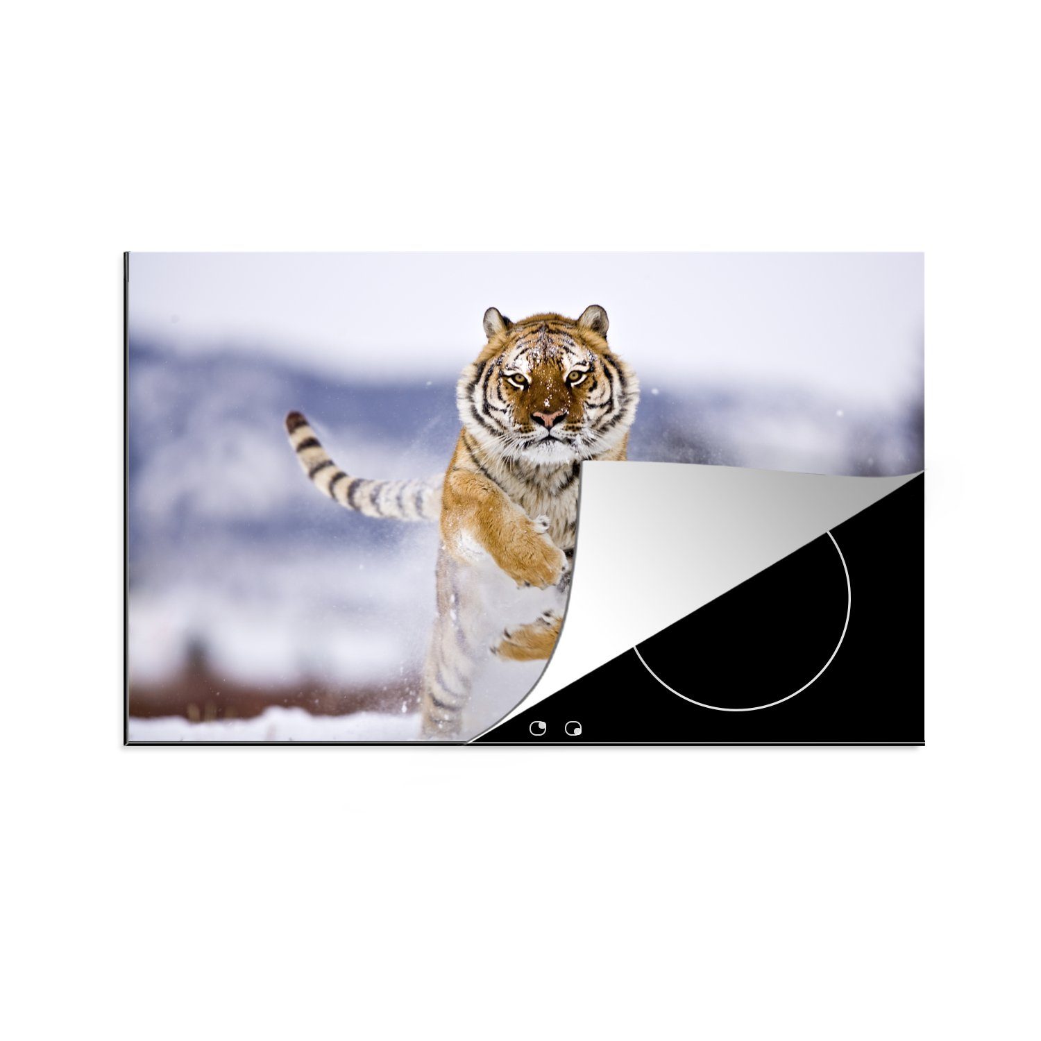 MuchoWow Herdblende-/Abdeckplatte Sibirischer Tiger, Vinyl, (1 tlg), 81x52 cm, Induktionskochfeld Schutz für die küche, Ceranfeldabdeckung