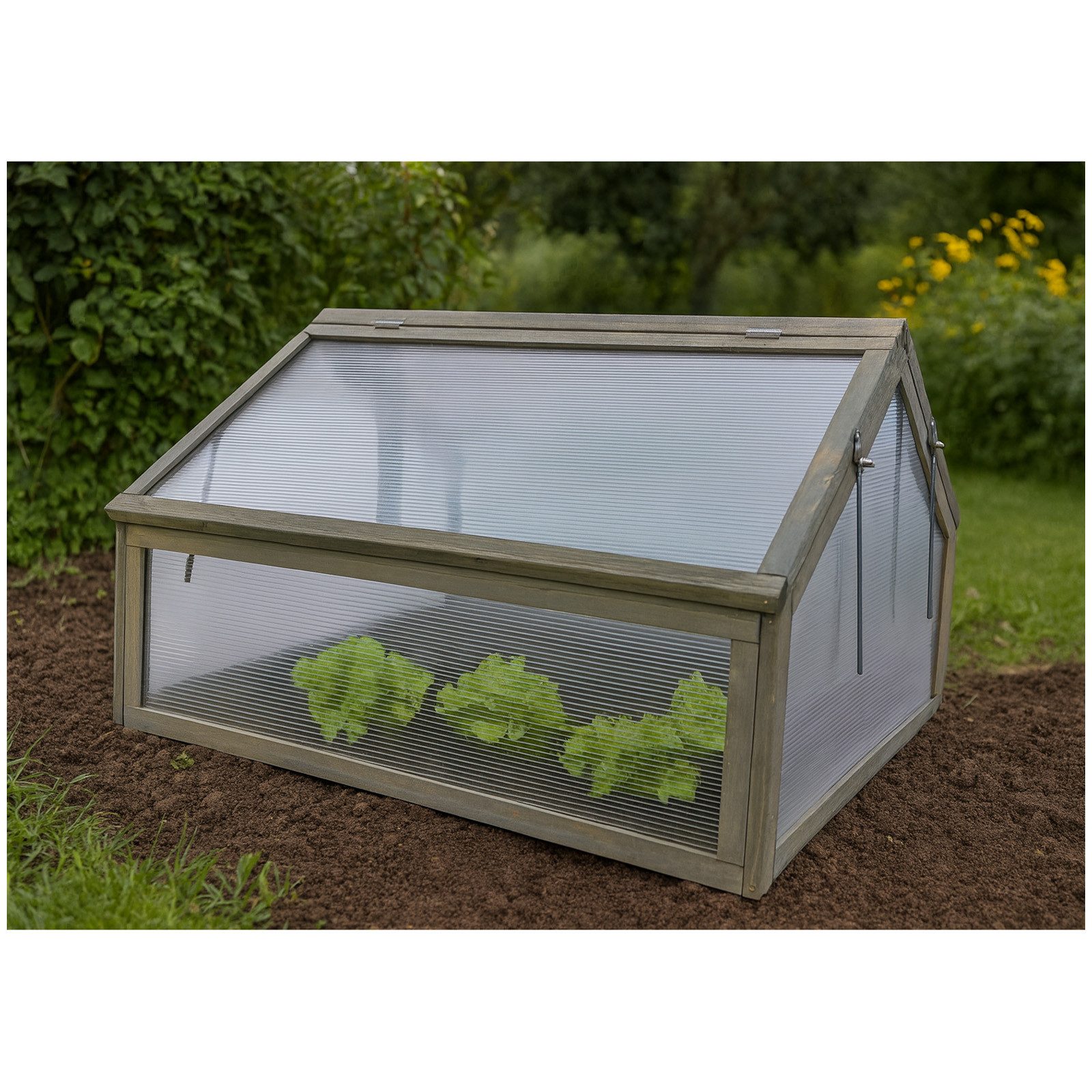 HTI-Line Frühbeet Frühbeet Heidi (Stück, 1 St., 1 Frühbeet), Gewächshaus