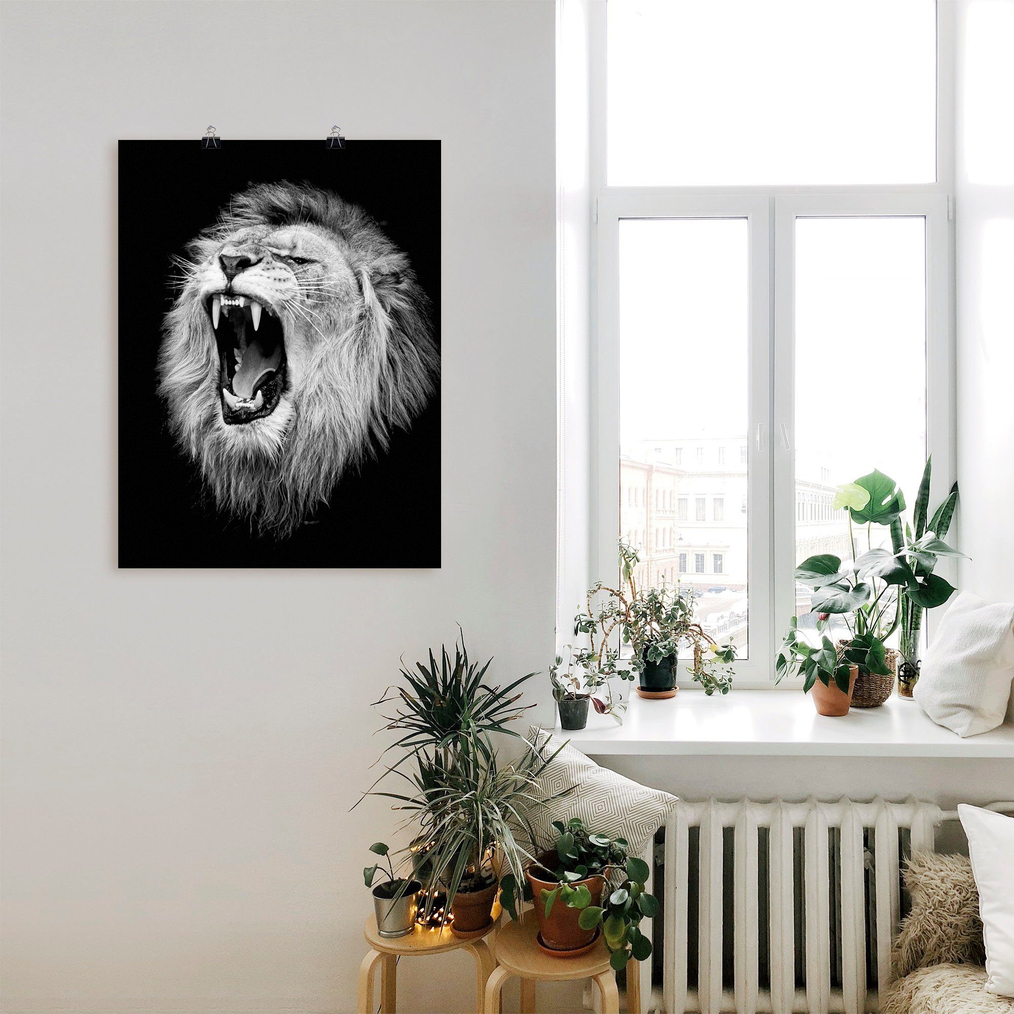 Artland Wandbild Der Löwe, Wildtiere in (1 versch. Leinwandbild, Alubild, Wandaufkleber oder St), als Größen Poster