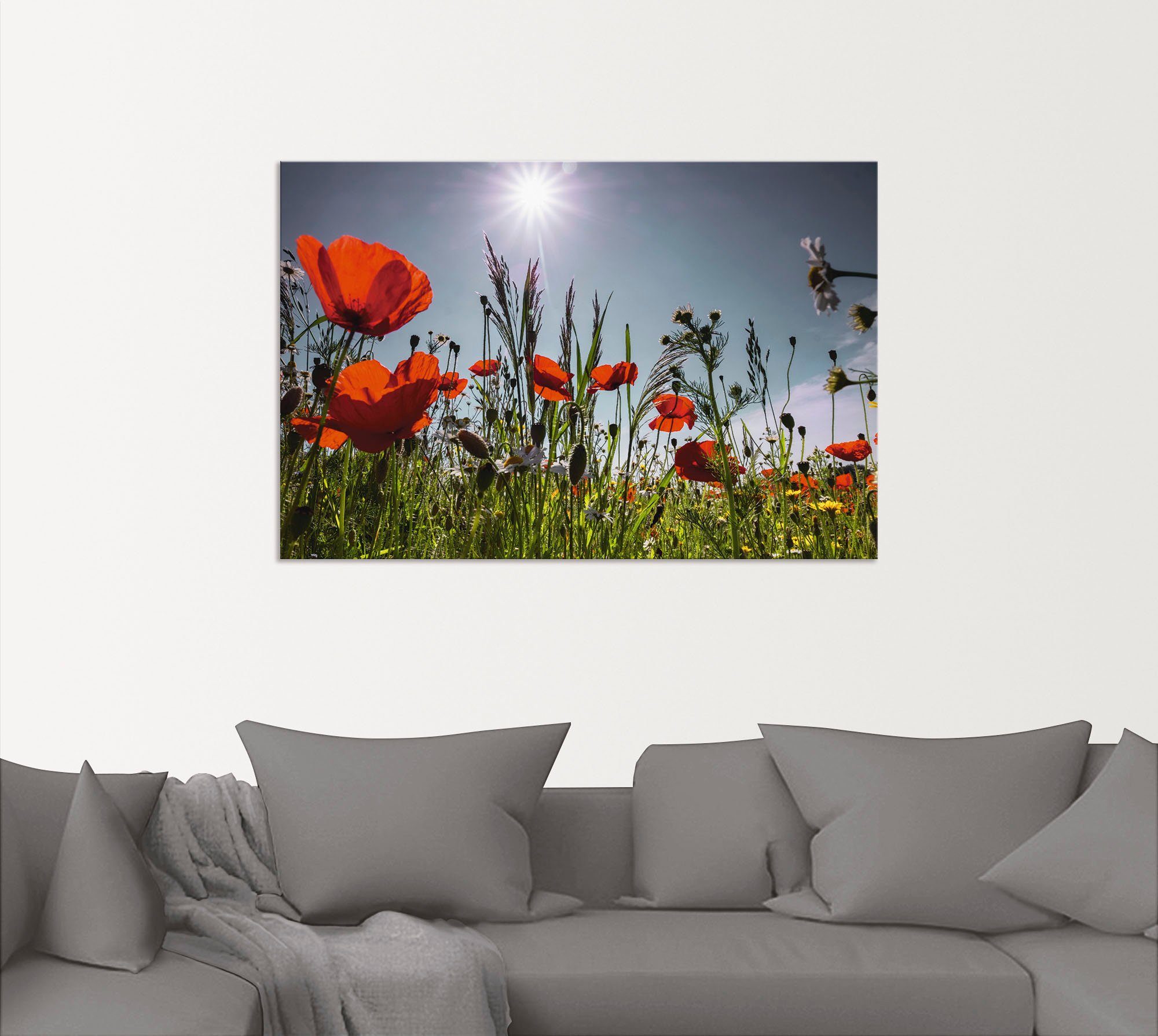 Artland Alu-Dibond-Druck Mohnblumenwiese, Blumenwiese (1 St), für Innen- und Außenbereich geeignet, Outdoorbild
