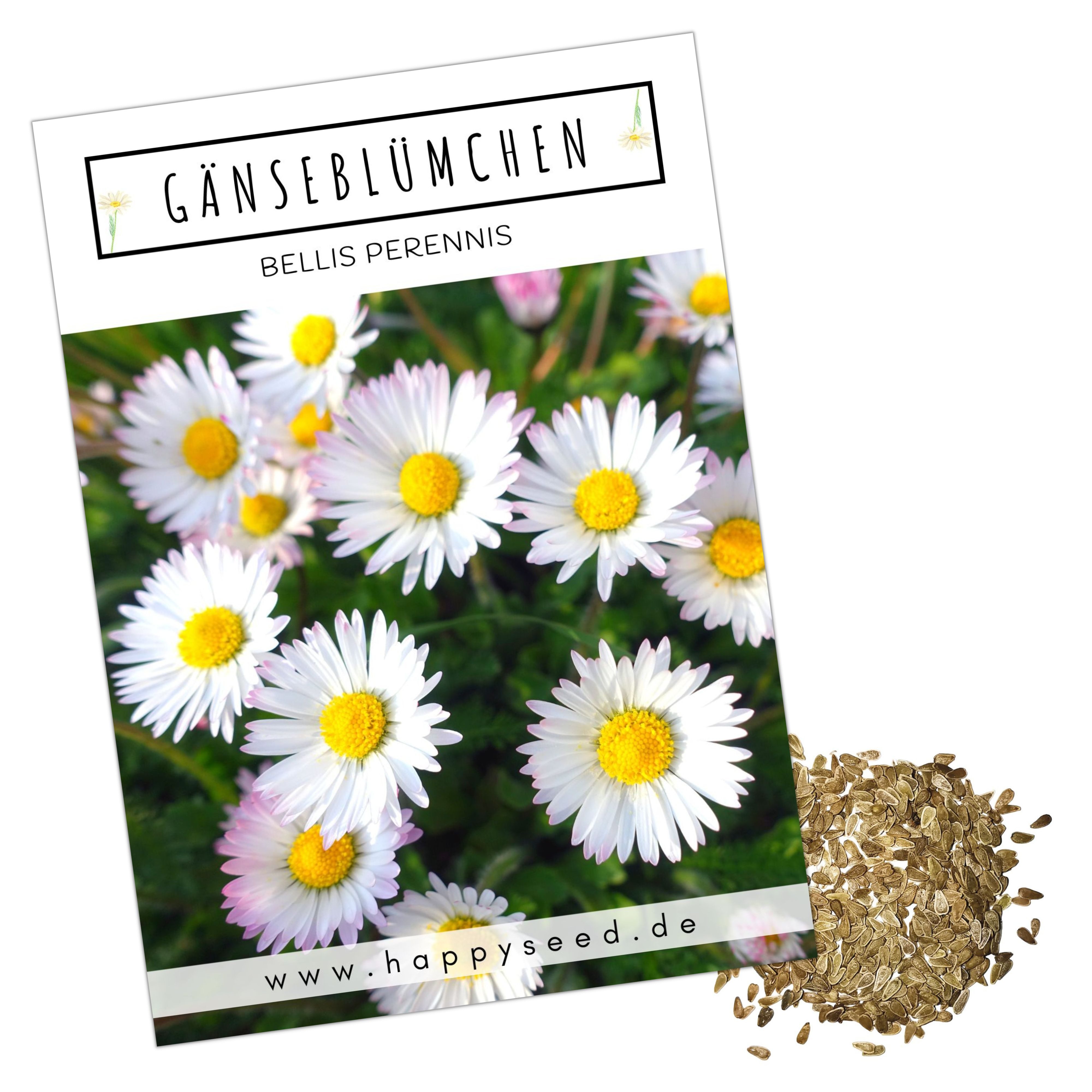 HappySeed Blumensamen Gänseblümchen Samen - Bellis perennis, Blumen günstig online kaufen