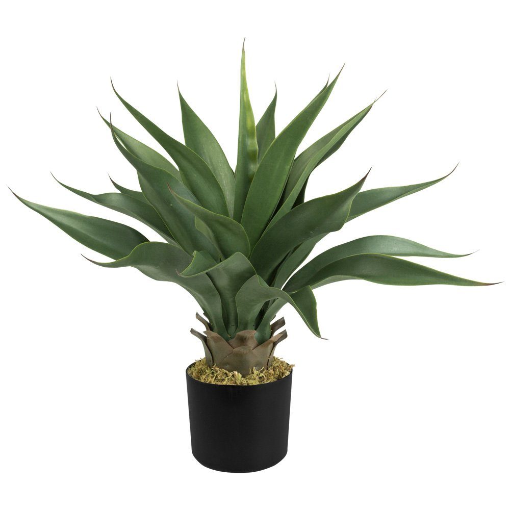 Künstliche Zimmerpflanze Aloe Vera Kunstpflanze Plastikpflanze Künstliche Pflanze 54 cm im Topf