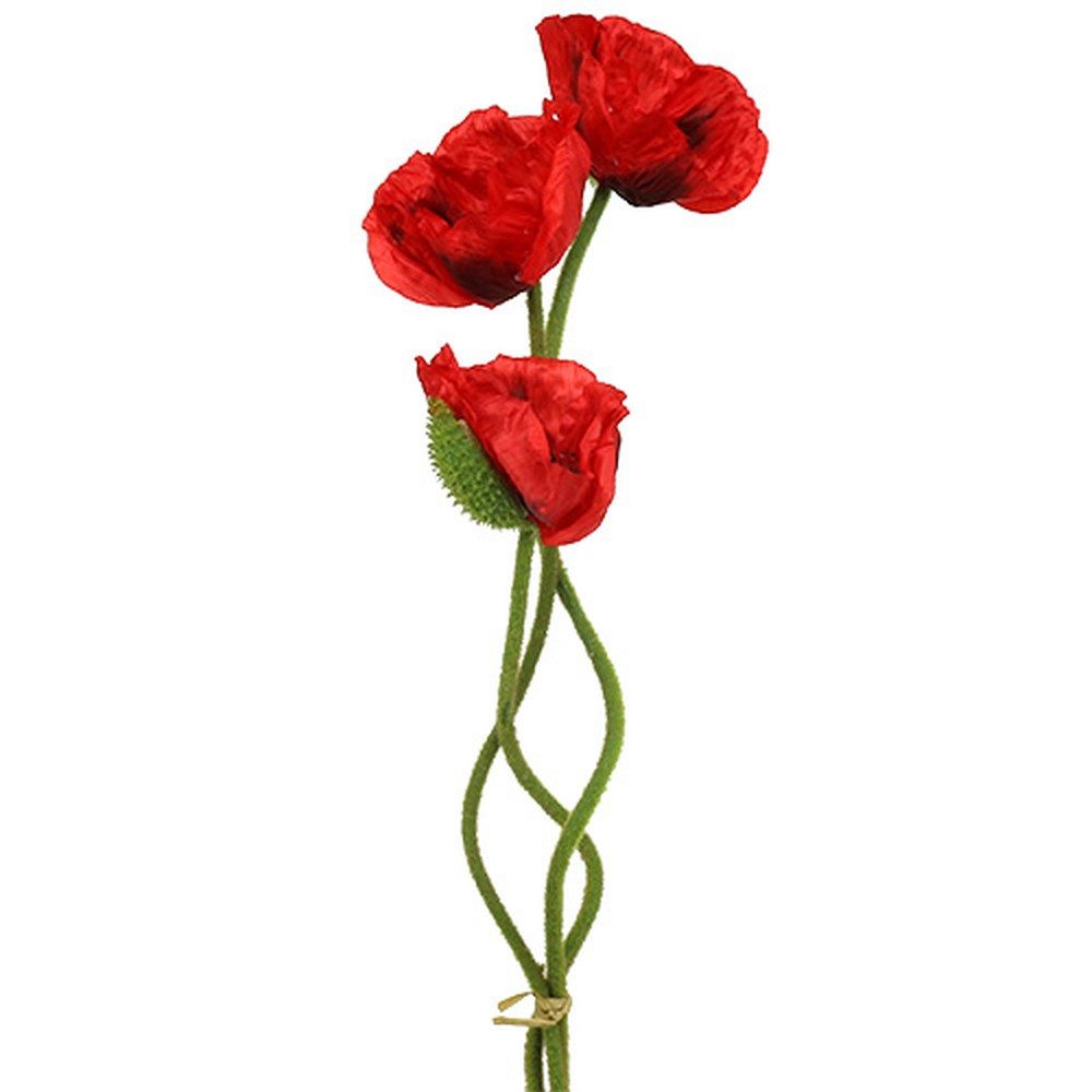 Kunstblume Mohnblume Rot Kunstblume 58-74cm 3er günstig online kaufen