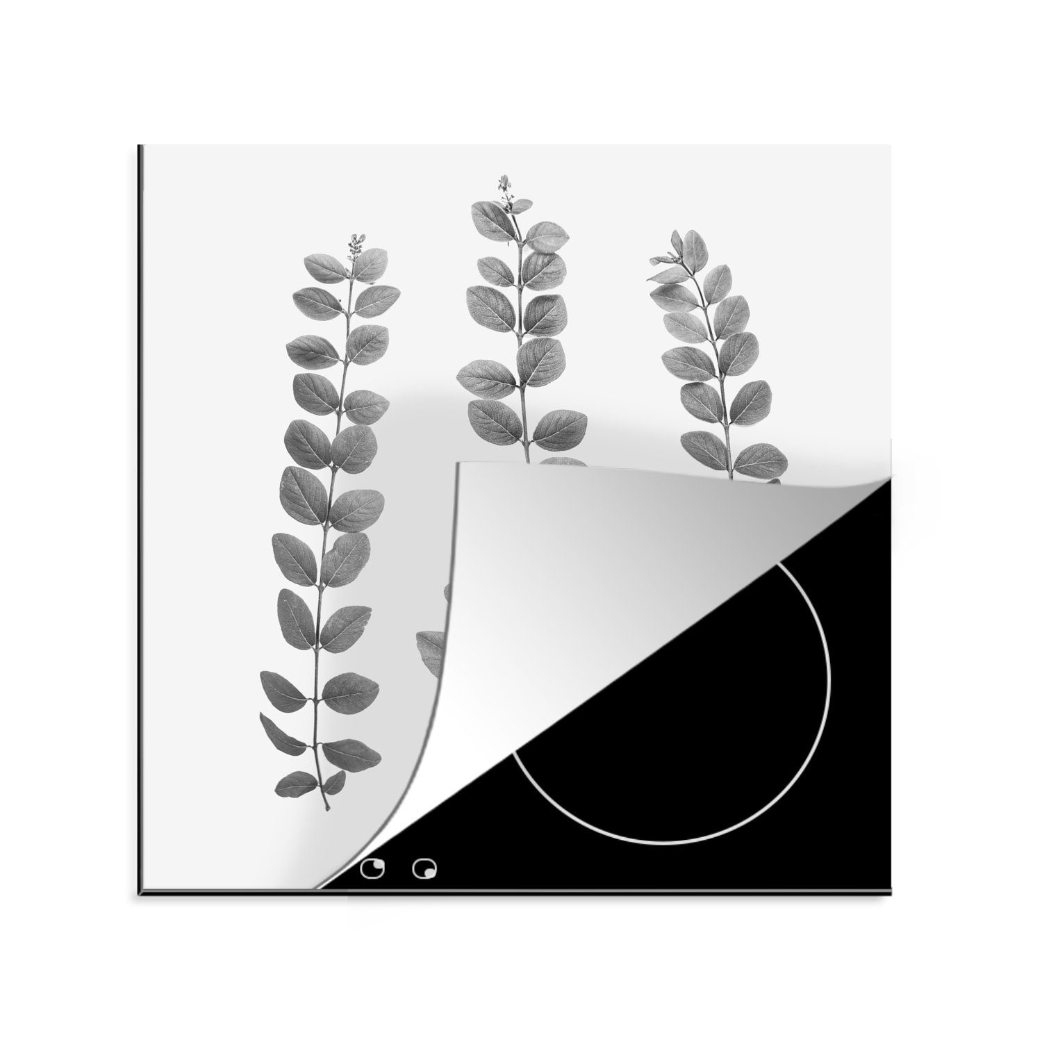 MuchoWow Herdblende-/Abdeckplatte Pflanzen - Blätter - Natur - Weiß, Vinyl, (1 tlg), 78x78 cm, Ceranfeldabdeckung, Arbeitsplatte für küche