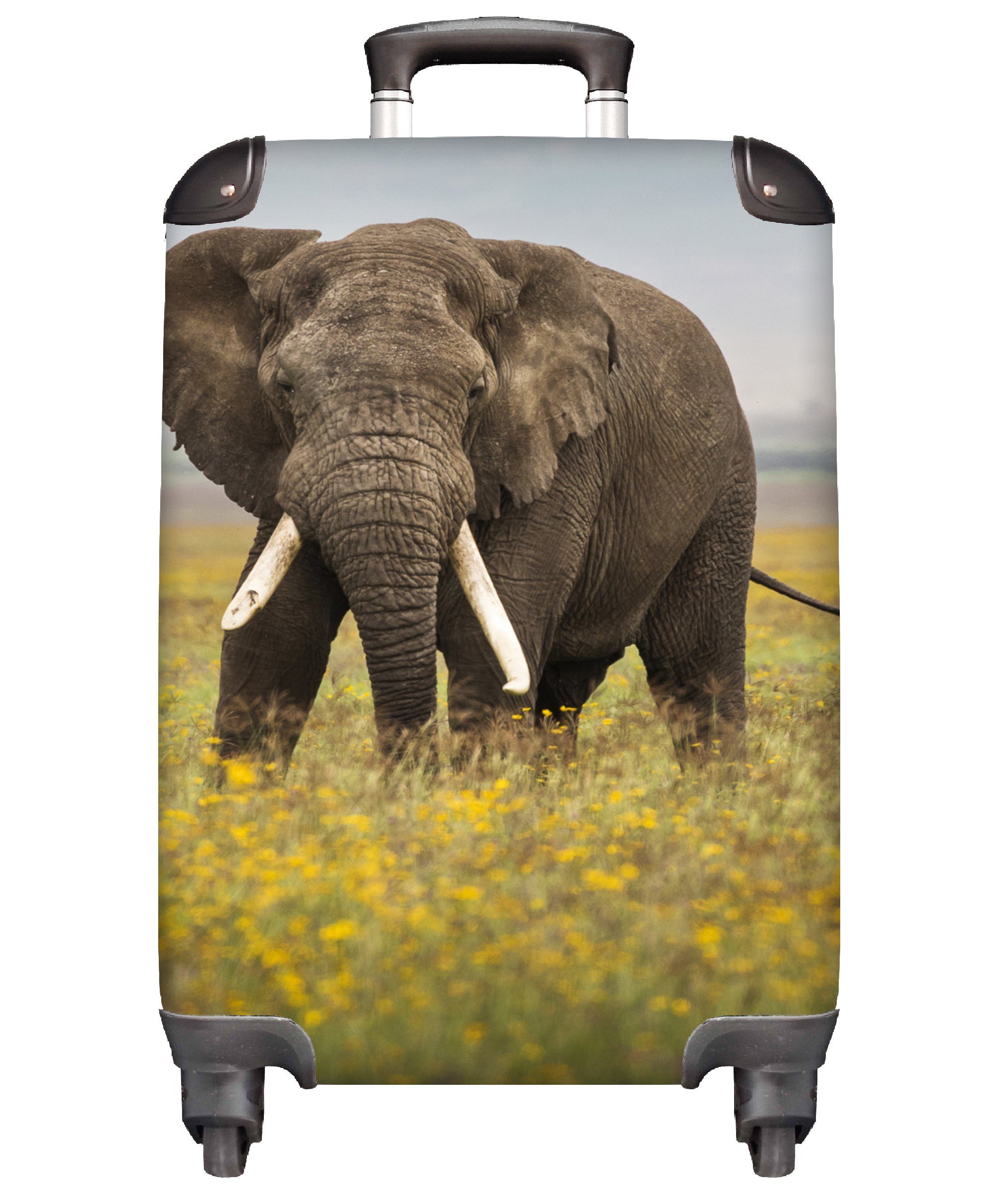 MuchoWow Handgepäckkoffer Elefant - Blumen - Gras - Tiere - Natur, 4 Rollen, Reisetasche mit rollen, Handgepäck für Ferien, Trolley, Reisekoffer