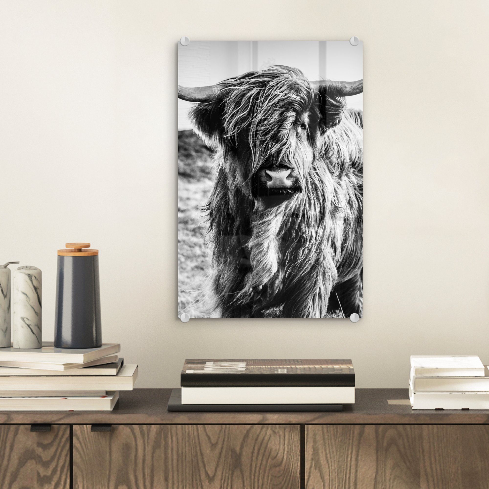 MuchoWow Acrylglasbild Schottischer Highlander - Natur - Kuh - Schwarz - We günstig online kaufen