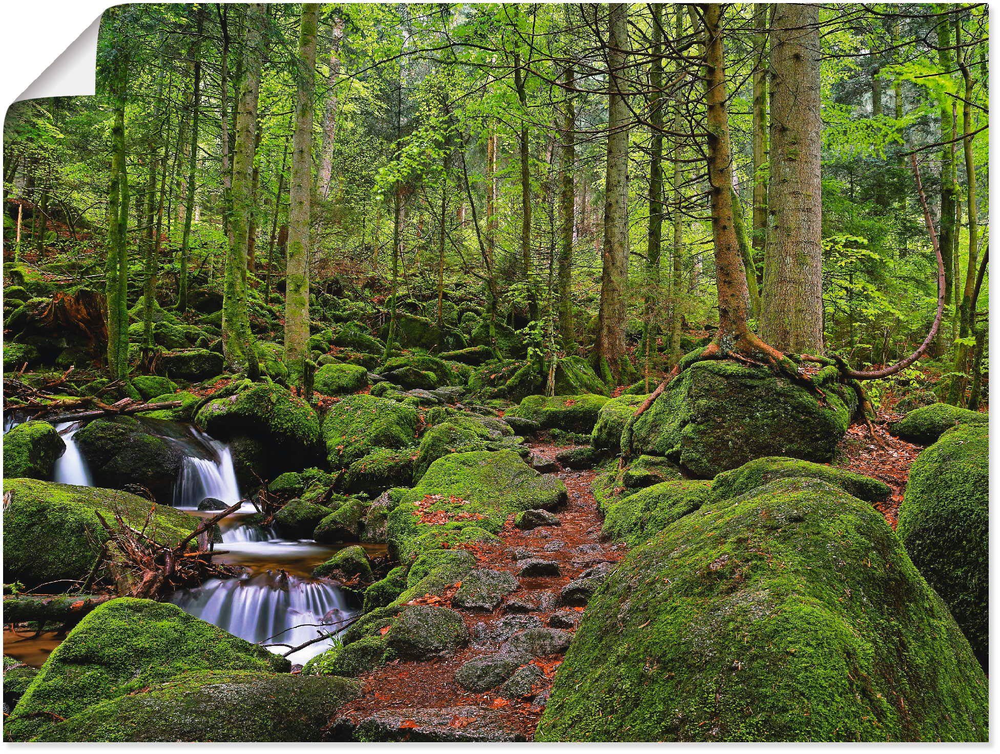 Artland Wandbild Zauberwald, Wald (1 St), als Leinwandbild, Wandaufkleber oder Poster in versch. Größen