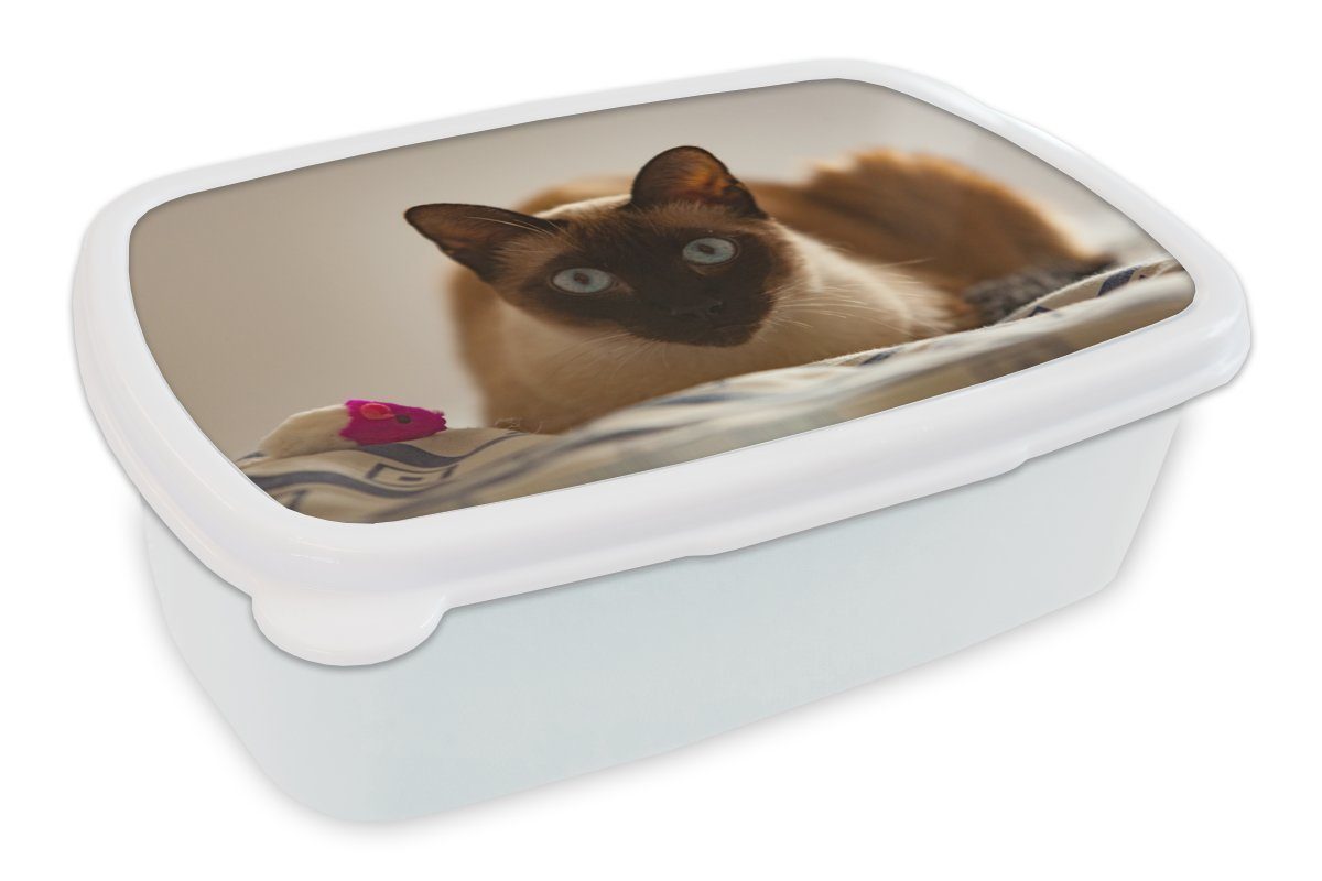 MuchoWow Lunchbox Siamkatze auf dem Bett, Kunststoff, (2-tlg), Brotbox für Kinder und Erwachsene, Brotdose, für Jungs und Mädchen weiß