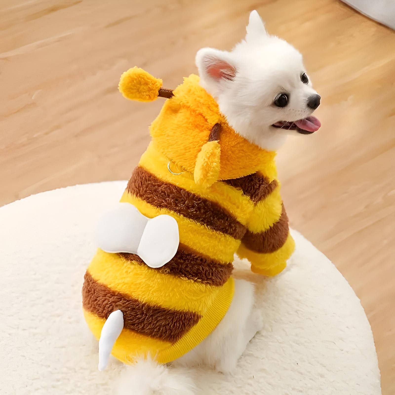 Corimori Hundekostüm Bienenkostüm Hund & Katze – Süßes Haustierkostüm, ideale Tierverkleidung für Herbst & Winter, mit Flügeln & Kapuze