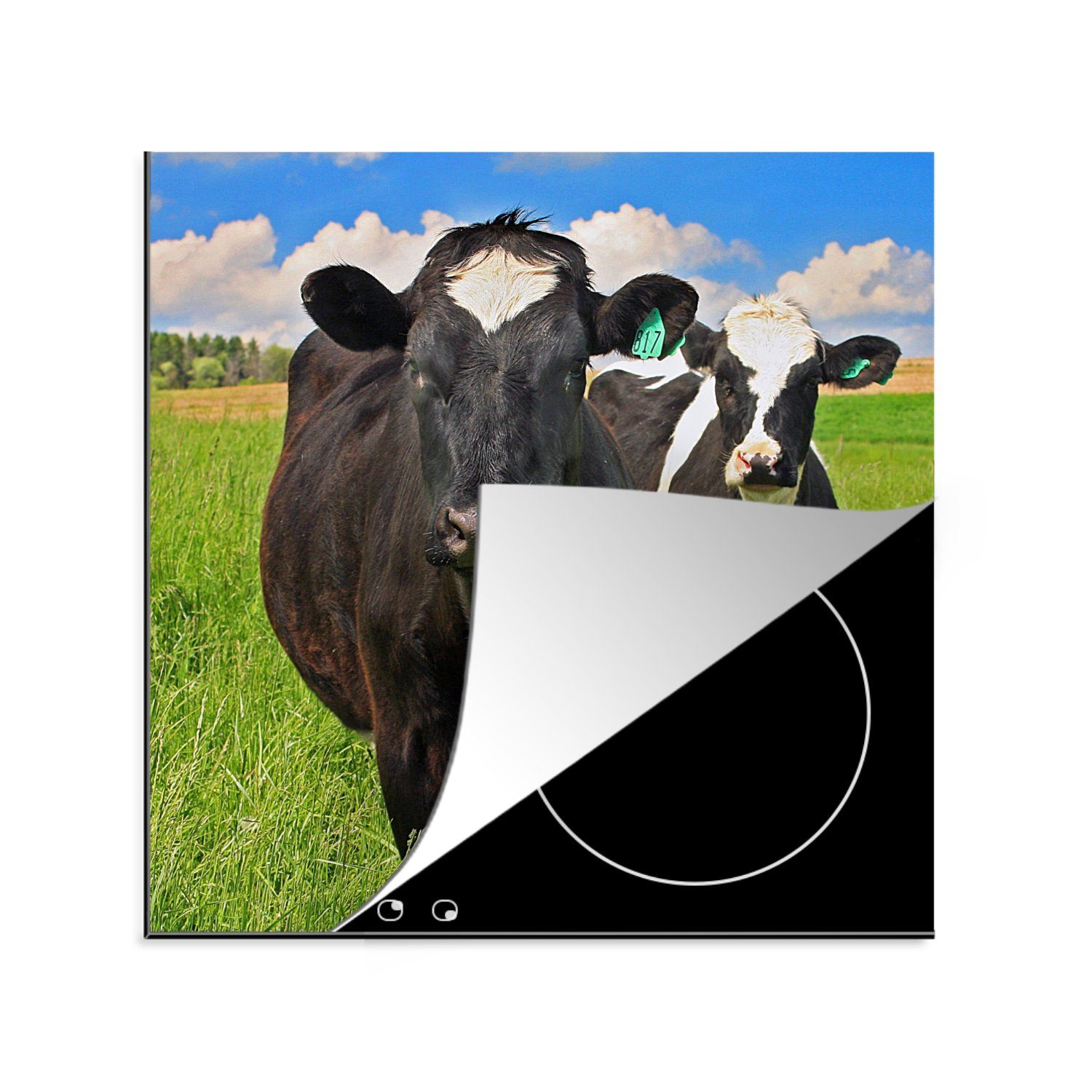 MuchoWow Herdblende-/Abdeckplatte Kuh - Gras - Natur - Tiere, Vinyl, (1 tlg), 78x78 cm, Ceranfeldabdeckung, Arbeitsplatte für küche
