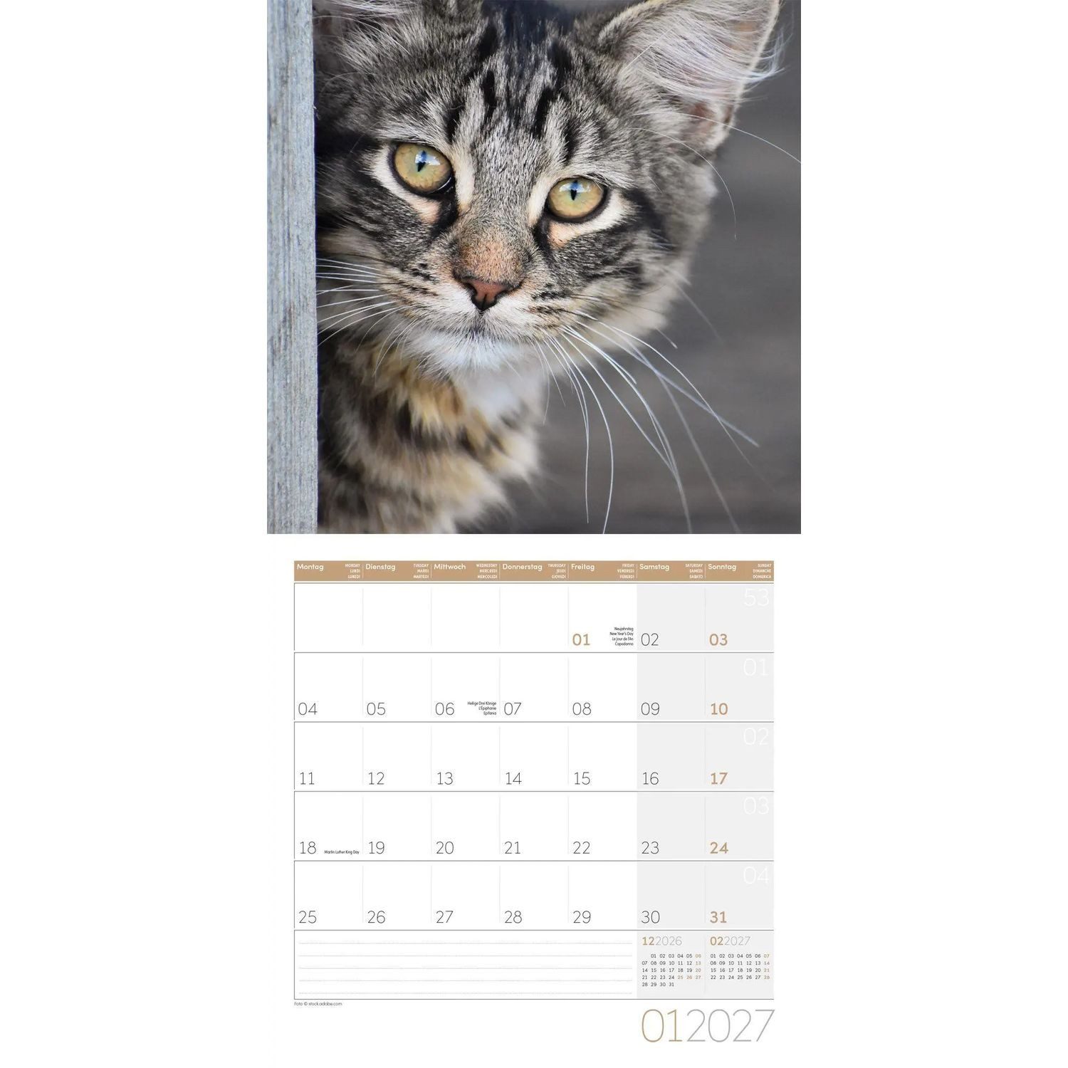 Ackermann Wandkalender Katzen Kalender 2027 - 30x30 - Art12