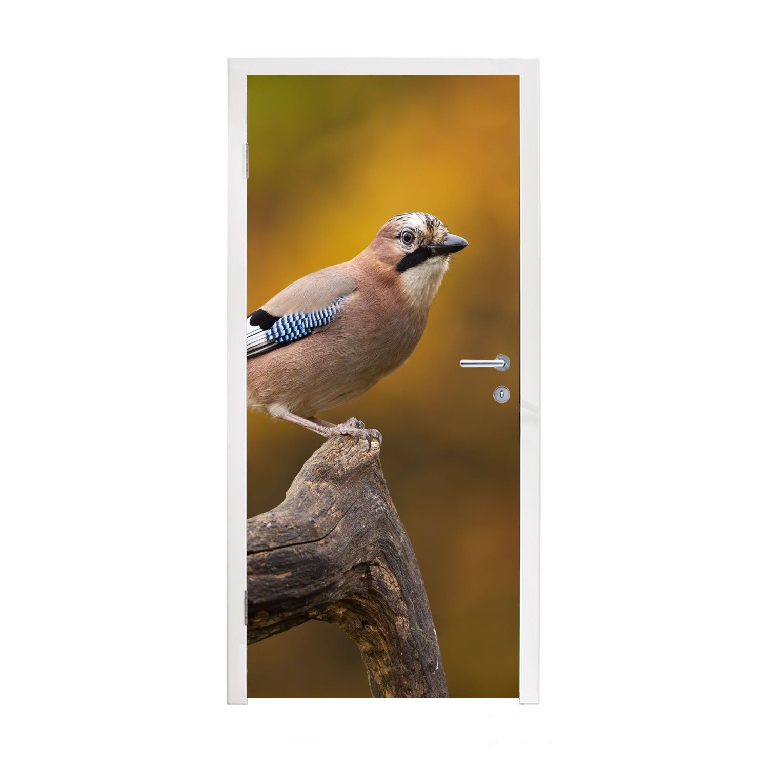 MuchoWow Zweig 75x205 Vogel Matt, (1 Türaufkleber, Fototapete bedruckt, Eichelhäher, - - für cm St), Türtapete Tür,