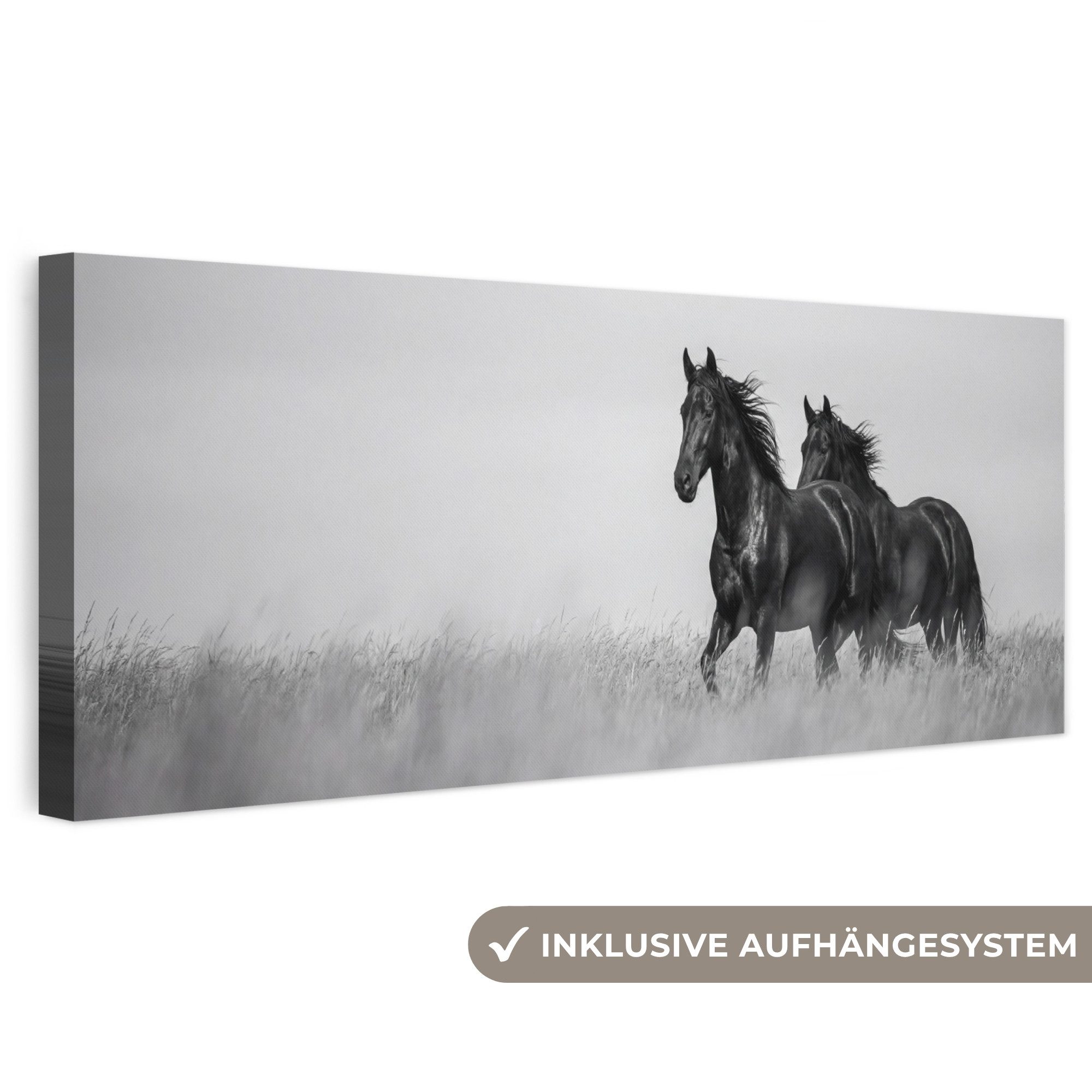 OneMillionCanvasses® Leinwandbild Panorama Pferde - Gras - Schwarz - Weiß, Fotodruck (1 St), Wandbild, Deko Schlafzimmer Wohnzimmer Flur 60x20 cm