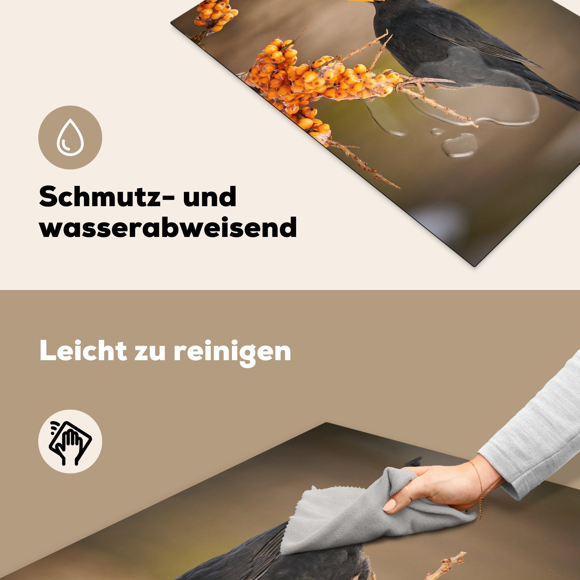 Arbeitsplatte - - tlg), Herdblende-/Abdeckplatte 77x51 - - Beere, Amsel cm, (1 Eis Winter Vogel küche für MuchoWow Vinyl, Ceranfeldabdeckung,