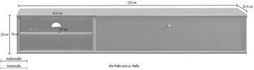Hammel Furniture TV-Board Mistral Fernsehschrank, Medienmöbel, Hängend, mit Klapptür mit Akustikstoff, Kabeldurchführung, Lowboard, B: 133 cm