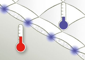 Daunenbettdecke, Fabian 2für1, Bettdecke für Sommer, Winter, alle Wärmeklassen, fjödur, Füllung: 60% Daunen & 40% Federn, Bezug: 100% Baumwolle, Bettdecke in 135x200,155x220 cm, inklusive 1 Gratis-Leichtdecke.