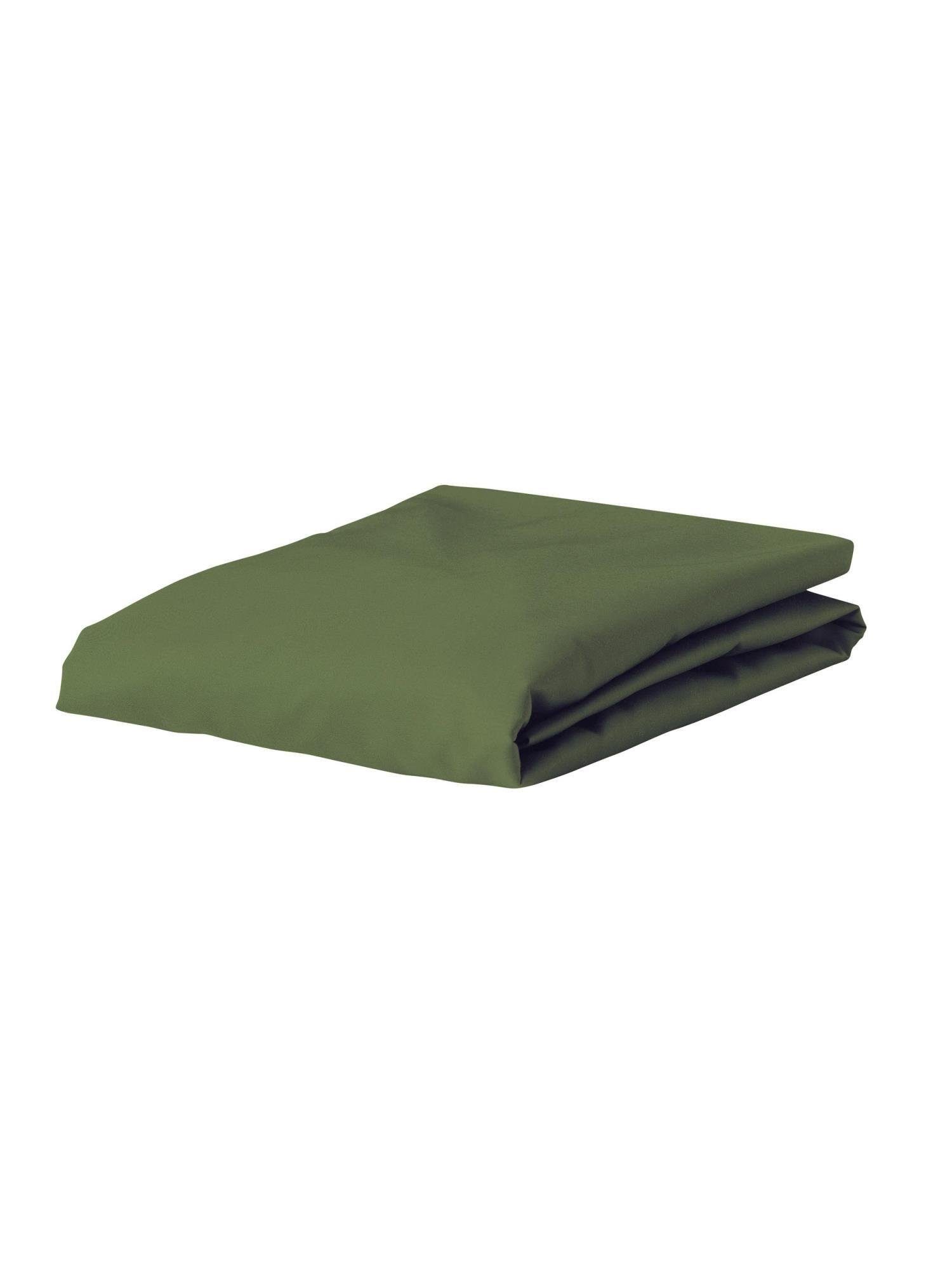 Essenza Spannbettlaken The Perfect Organic Jersey, 95% Bio-Baumwolle (GOTS), 5% Elasthan, Gummizug: rundum, (1 Stück), aus GOTS-zertifizierter Baumwolle Jersey-Stretch