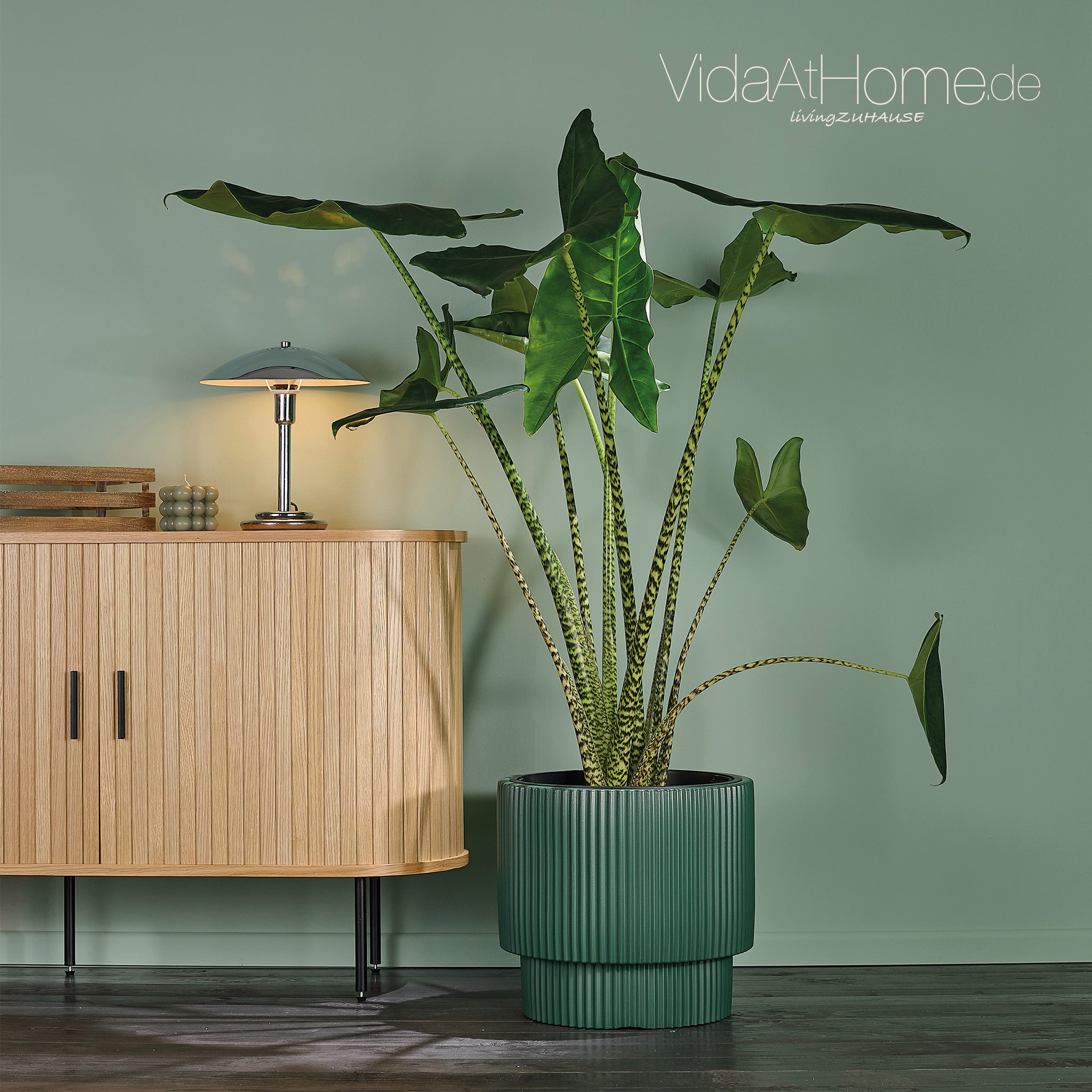 VidaAtHome.de Blumentopf Design-Pflanzgefäß IVY ø 40er, Modernes Rillendesi günstig online kaufen