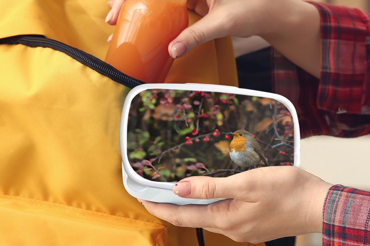 - Lunchbox und Äste Kinder Natur, MuchoWow - Brotbox Jungs Erwachsene, für Brotdose, Rotkehlchen Kunststoff, und weiß (2-tlg), Mädchen für