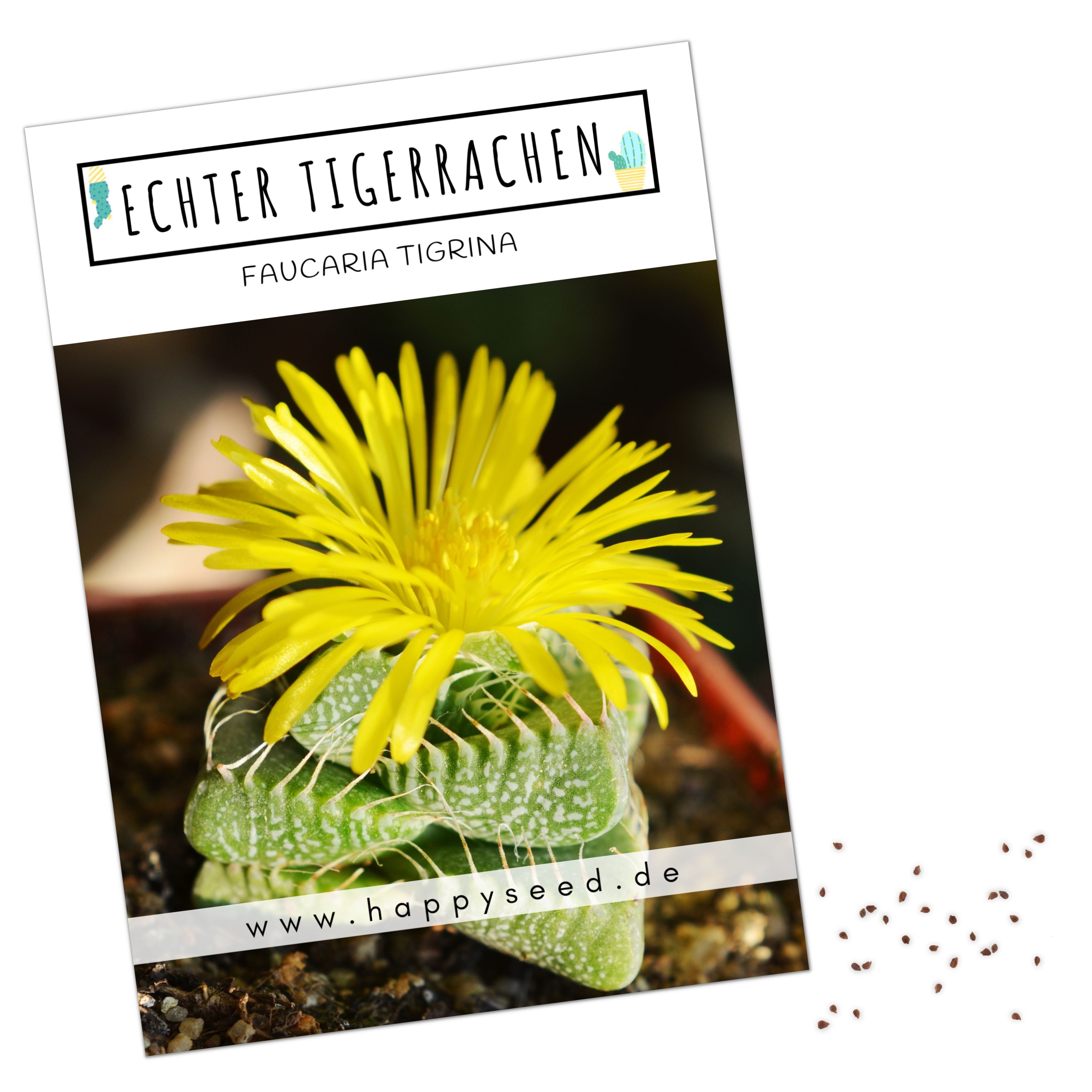 Blumensamen Exotische Kakteen Samen mit hoher Keimrate - Echter Tigerrachen