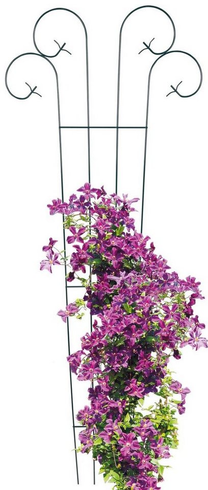 Thumbnail - Grüner Jan Spalier Metall Blumenspalier 180 x 70 cm von Grüner Jan