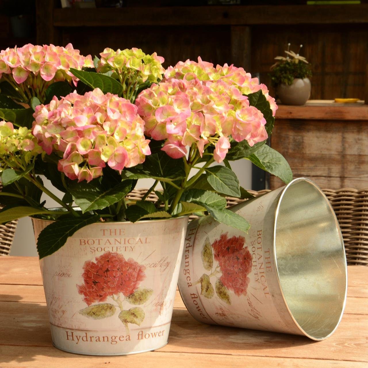 UNUS GARDEN Blumentopf Topf Zink rund günstig online kaufen