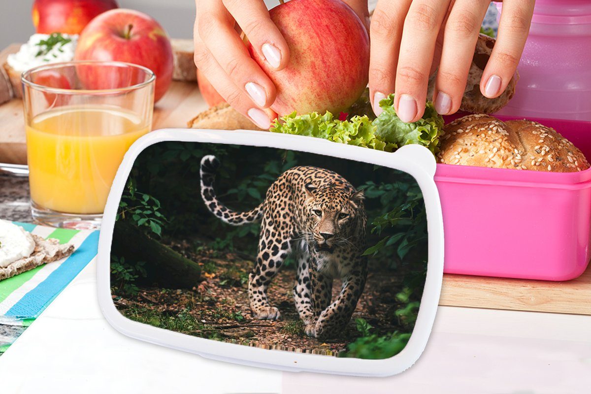 Kunststoff, MuchoWow - Kunststoff Dschungel Brotdose - Natur, (2-tlg), Leopard Snackbox, Lunchbox rosa Mädchen, Kinder, Erwachsene, - für Brotbox Wildtiere