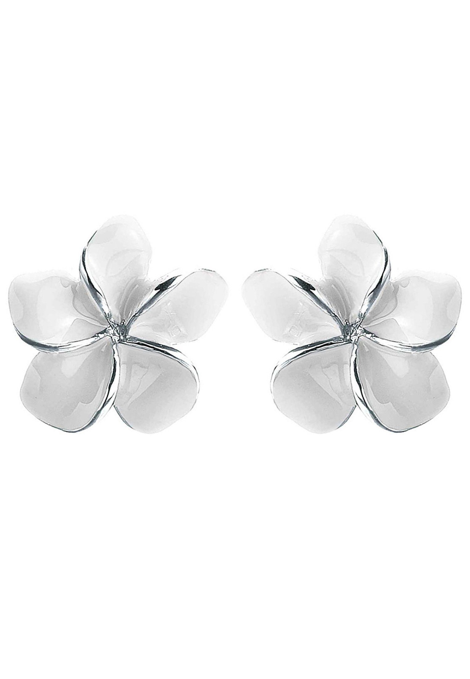 Elli Paar Ohrstecker Frangipani Blüte Natur günstig online kaufen