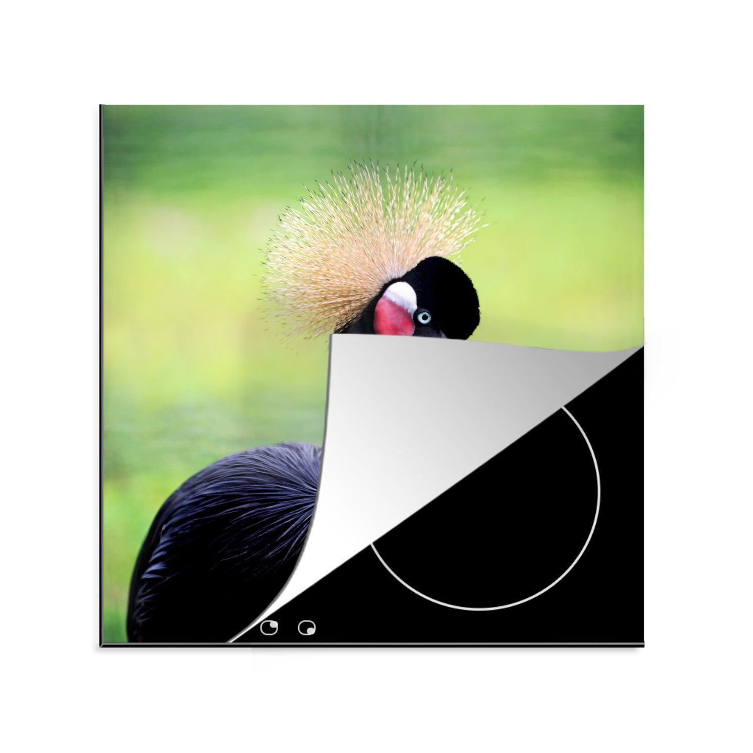 MuchoWow Herdblende-/Abdeckplatte Ein Porträt eines Schwarzkronenkranichs auf grünem Hintergrund, Vinyl, (1 tlg), 78x78 cm, Ceranfeldabdeckung, Arbeitsplatte für küche