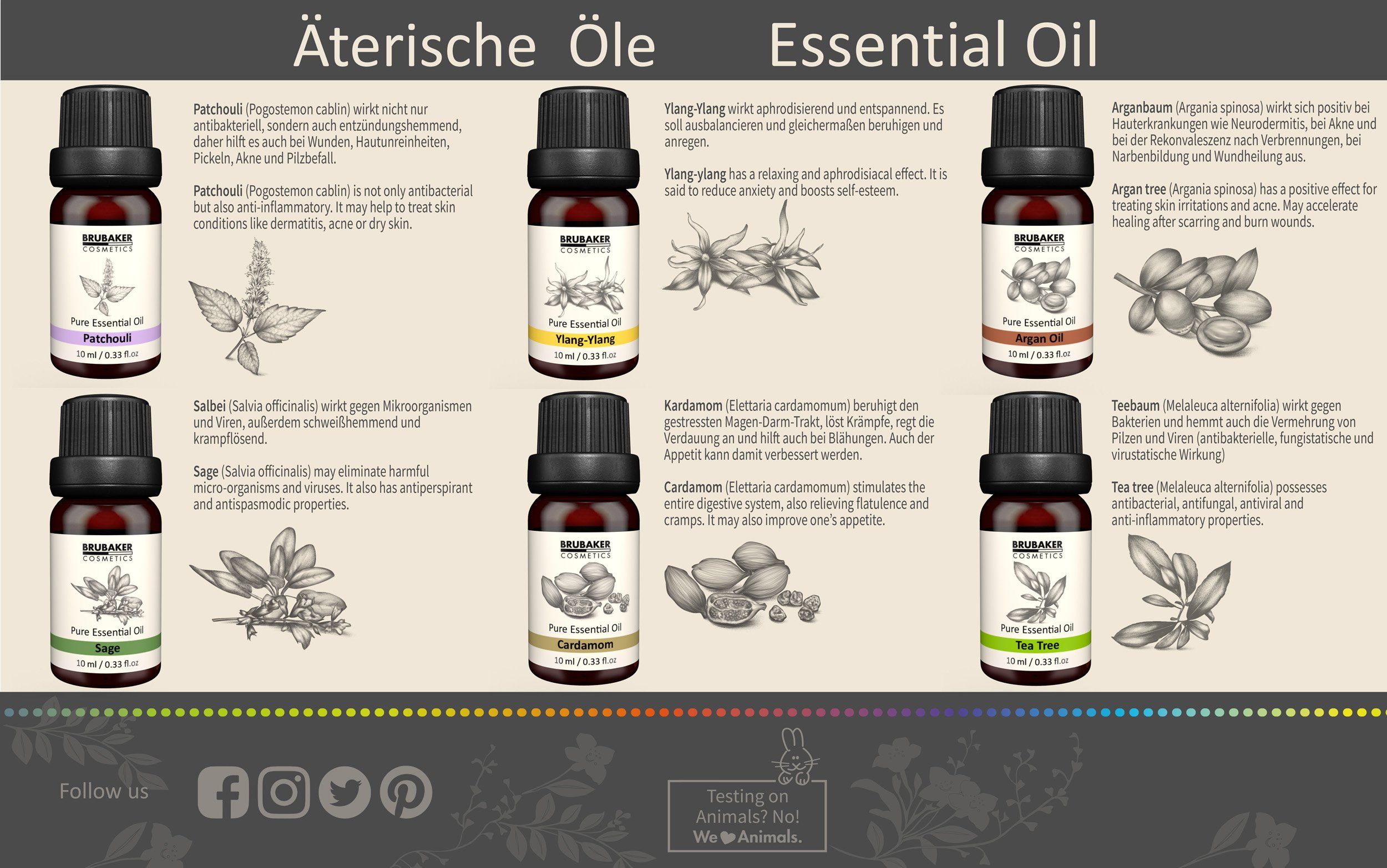 BRUBAKER Duftöl 6er-Set Ätherische Öle Aromatherapieöle 6 x 10 ml Naturrein (Duftöl für Diffusor Luftbefeuchter, Patchouli Salbei Ylang-Ylang Kardamom Argan Teebaum), Ätherische Öle Aromatherapie Geschenkset