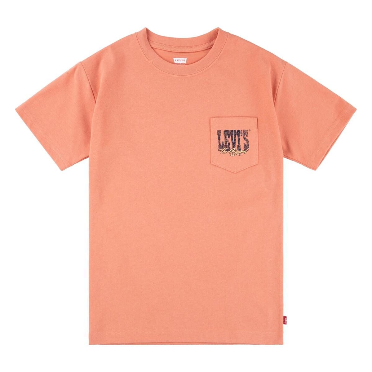 Levi's® Kids T-Shirt LVB CANYON LANDSCAPE T-SHIRT (1-tlg) Markenlogo