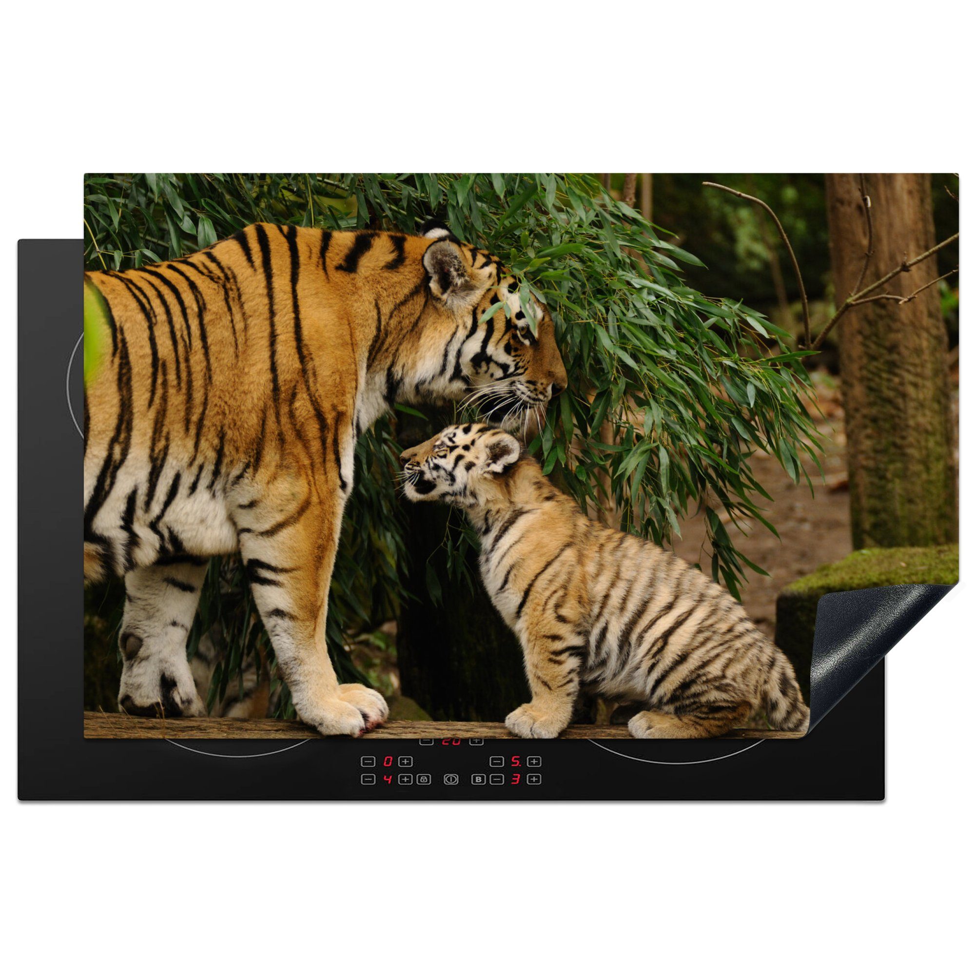 für 81x52 Schutz küche, Wald, - die Ceranfeldabdeckung Induktionskochfeld Tiere Herdblende-/Abdeckplatte Tiger MuchoWow cm, (1 - Vinyl, tlg),