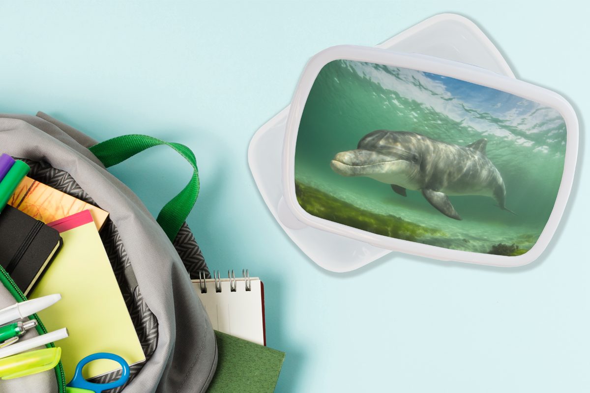Jungs - Brotdose, Mädchen und Kunststoff, für Delfin Brotbox MuchoWow weiß Wasser, und Erwachsene, für Tiere - Lunchbox (2-tlg), Kinder
