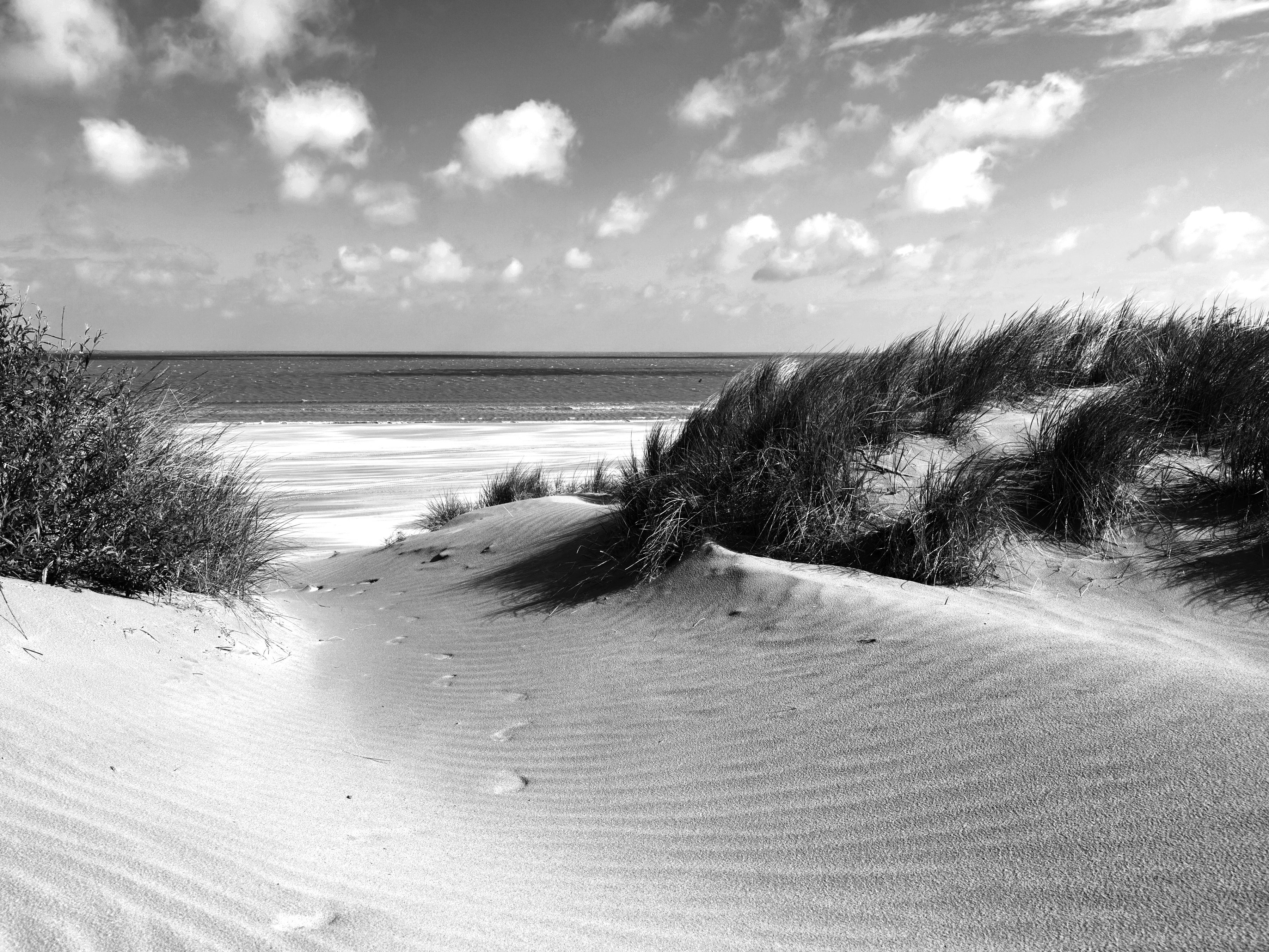 Papermoon Strand Schwarz Weiß Fototapete &