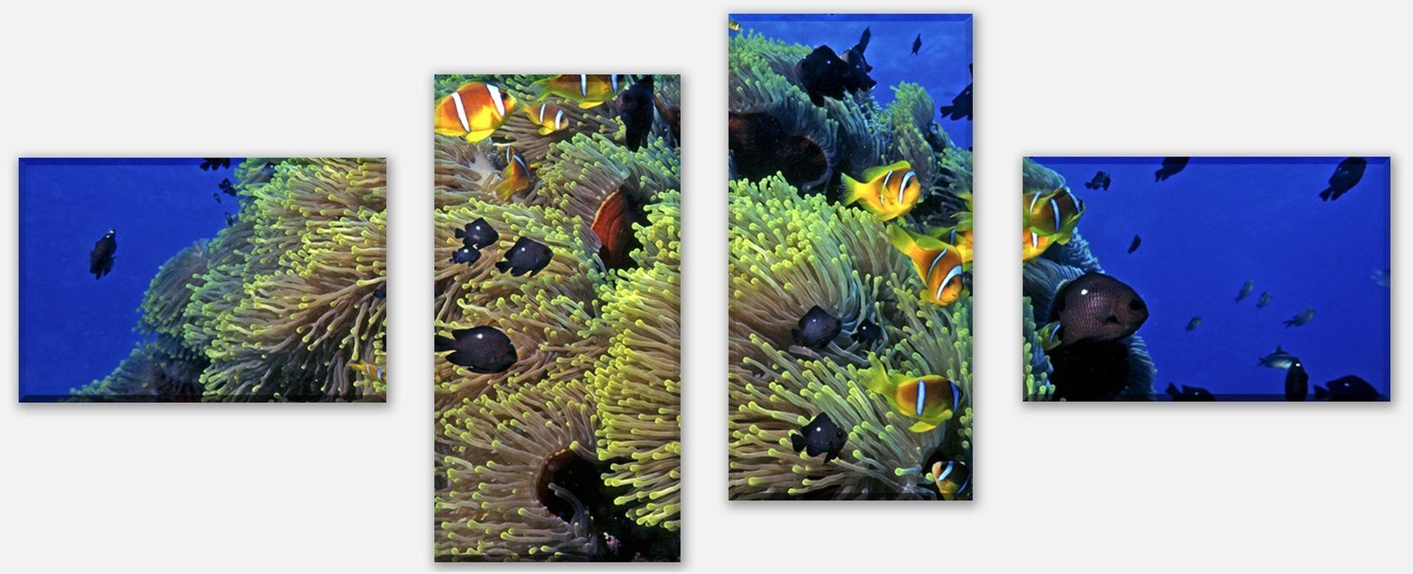 wandmotiv24 Mehrteilige Bilder Unterwasserriff, Unterwasser (Set, 4 St), Wandbild, Wanddeko, Leinwandbilder in versch. Größen