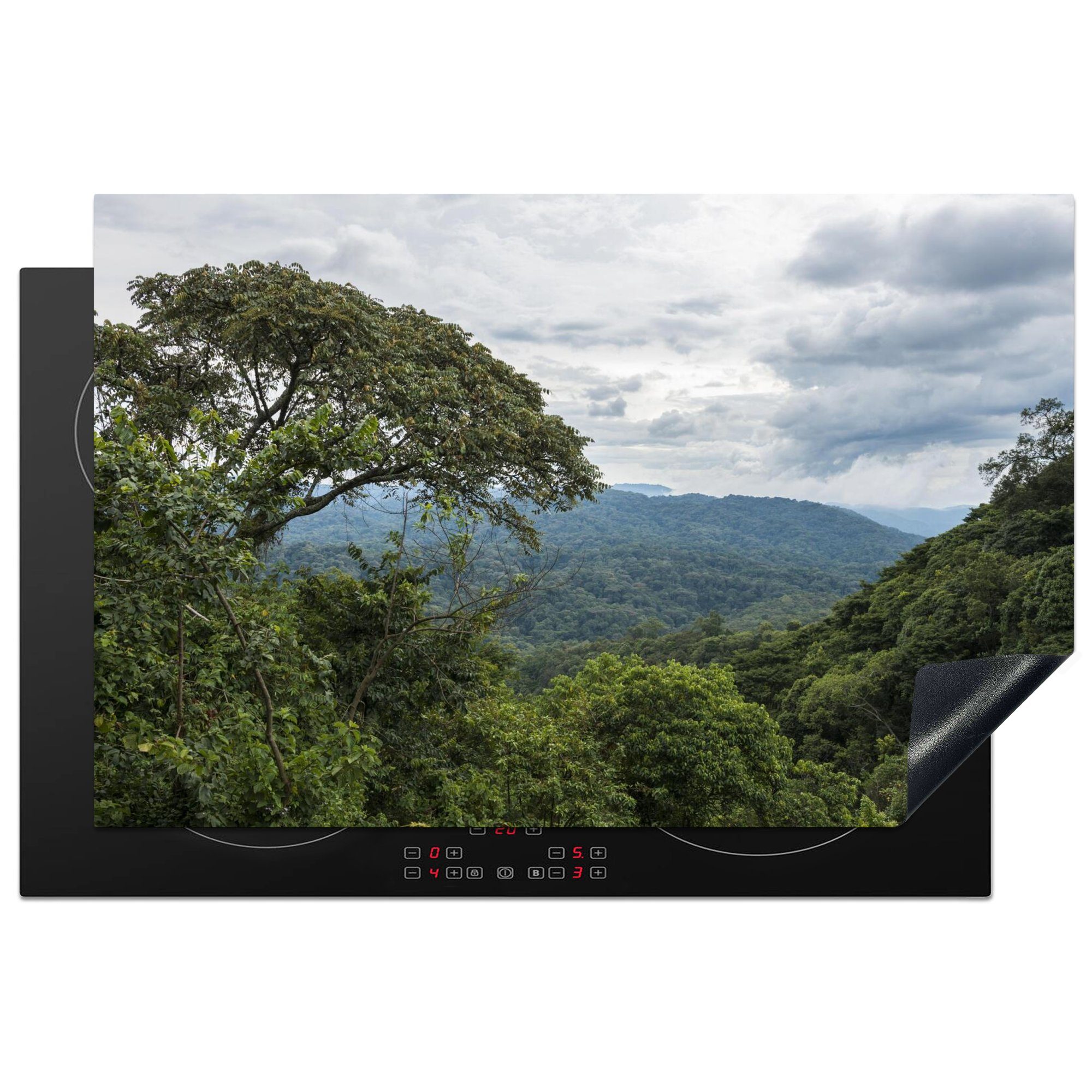 MuchoWow Herdblende-/Abdeckplatte Dschungel des Bwindi Impenetrable National Park in Uganda, Vinyl, (1 tlg), 81x52 cm, Induktionskochfeld Schutz für die küche, Ceranfeldabdeckung