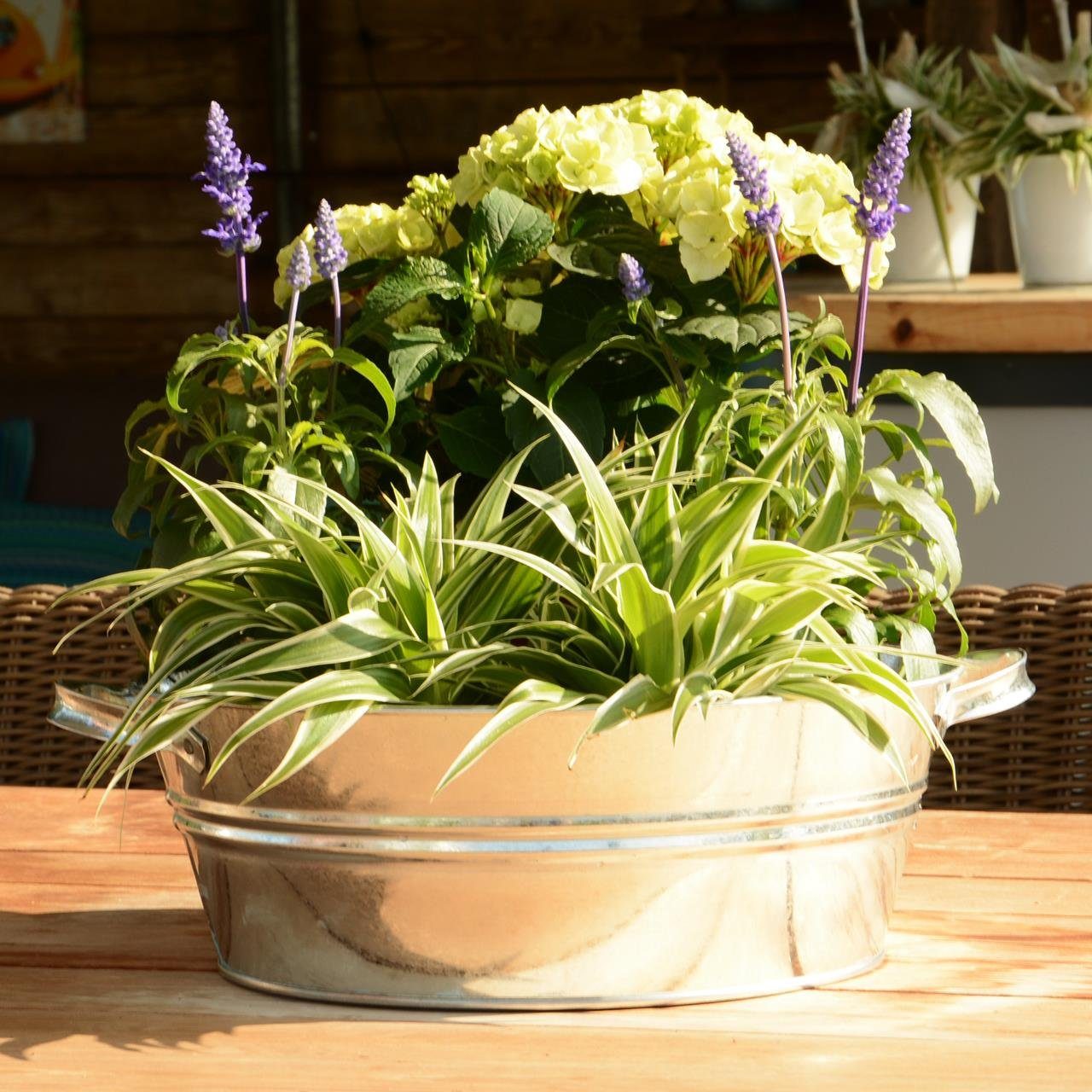 UNUS GARDEN Blumentopf Zinkwanne 12 Liter günstig online kaufen