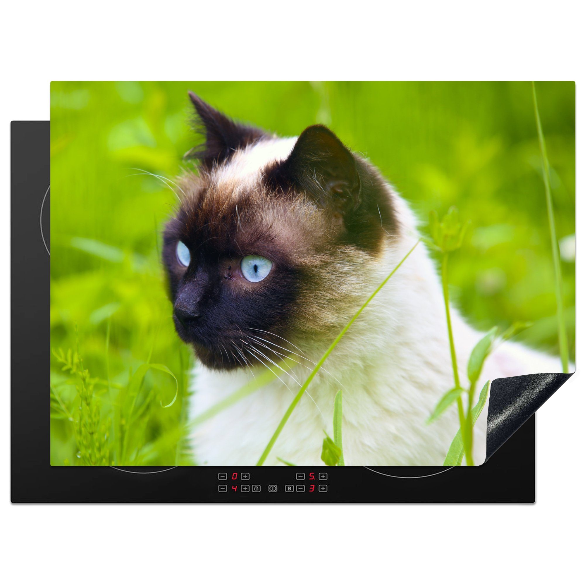 Vinyl, Arbeitsfläche 70x52 nutzbar, (1 cm, Gras, im tlg), Herdblende-/Abdeckplatte Ceranfeldabdeckung Mobile Katze MuchoWow Siamesische