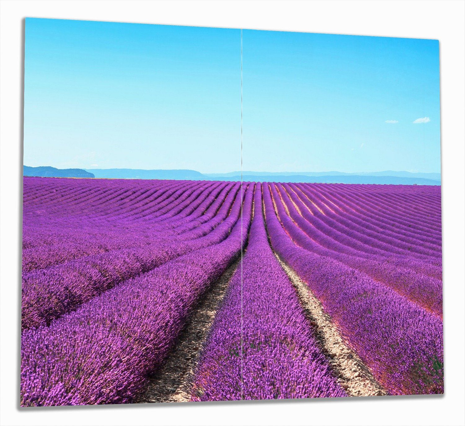 Wallario Herd-Abdeckplatte Lavendelfeld unter blauem Himmel, ESG-Sicherheitsglas, (Glasplatte, 2 tlg., inkl. 5mm Noppen), verschiedene Größen