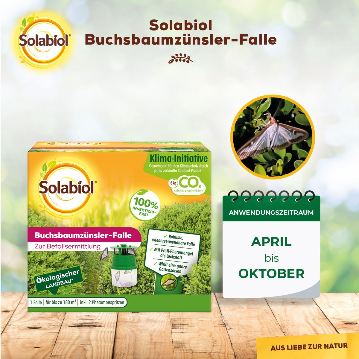 Solabiol Insektenfalle Buchsbaumzünsler-Falle